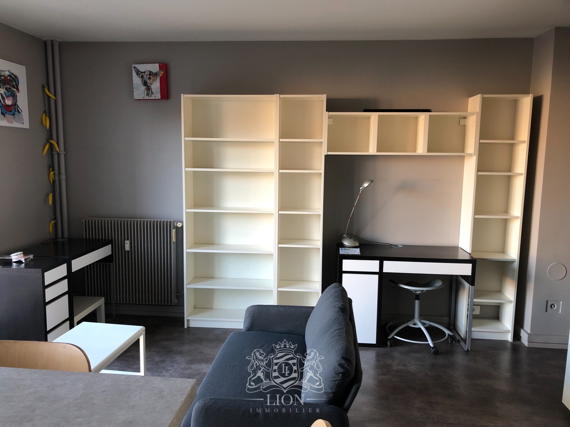 Lille vauban face catho  f1 bis 35m meuble Photo 9 - Le Lion Immobilier