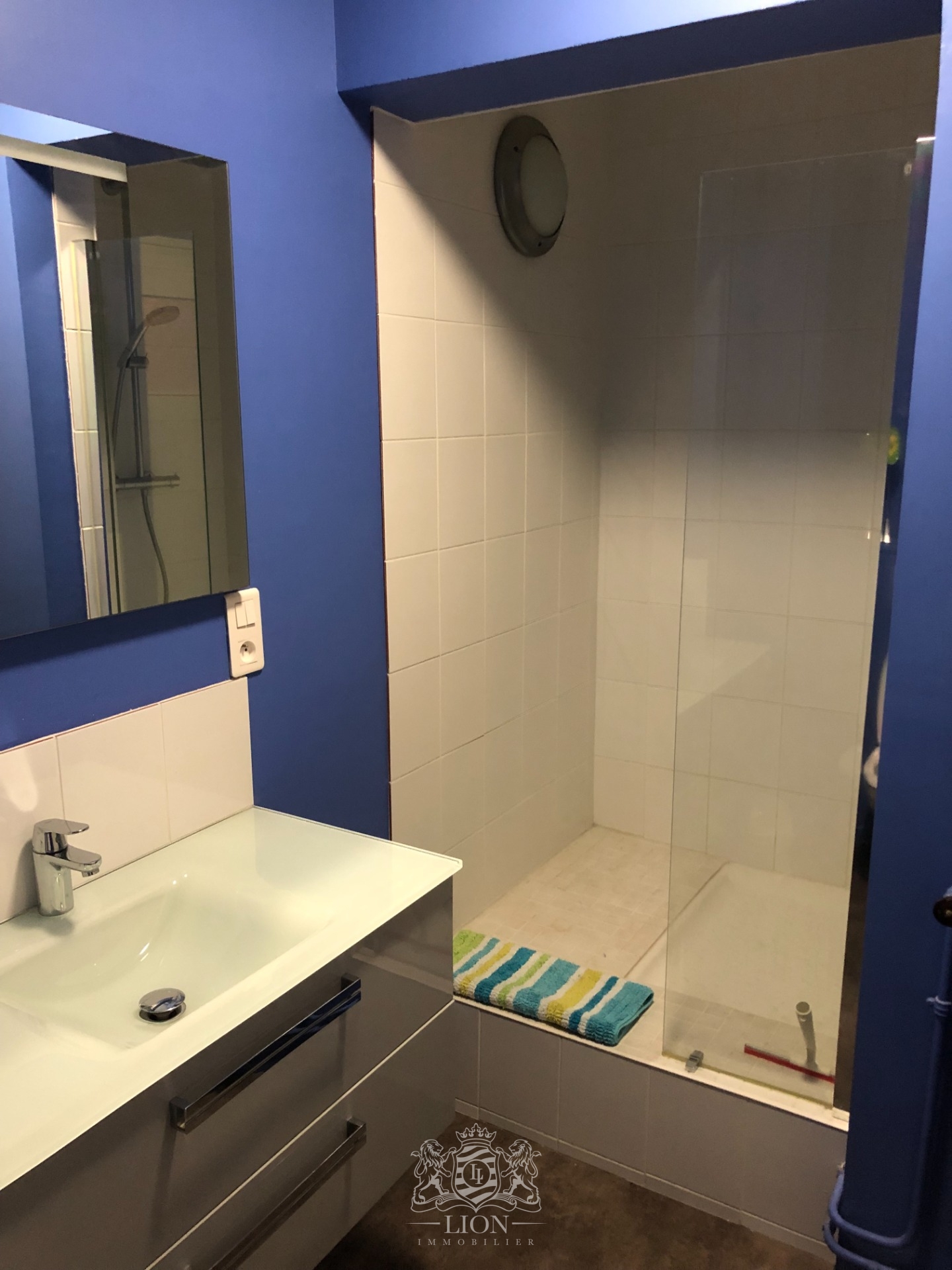 Lille vauban face catho  f1 bis 35m meuble Photo 12 - Le Lion Immobilier
