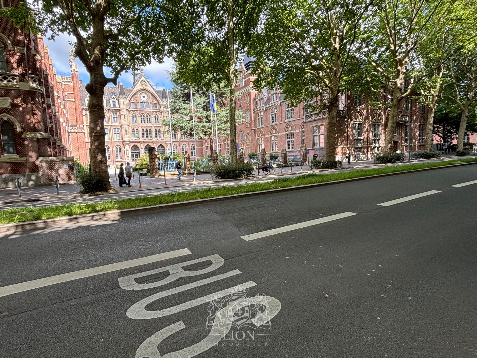 Lille vauban face catho  f1 bis 35m meuble Photo 17 - Le Lion Immobilier