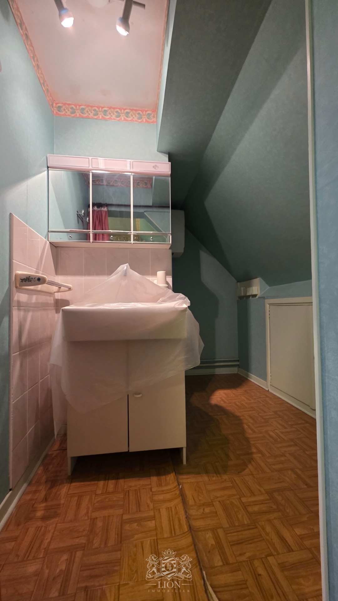 Maison de ville au fort potentiel   4 chambres grand garage Photo 13 - Le Lion Immobilier