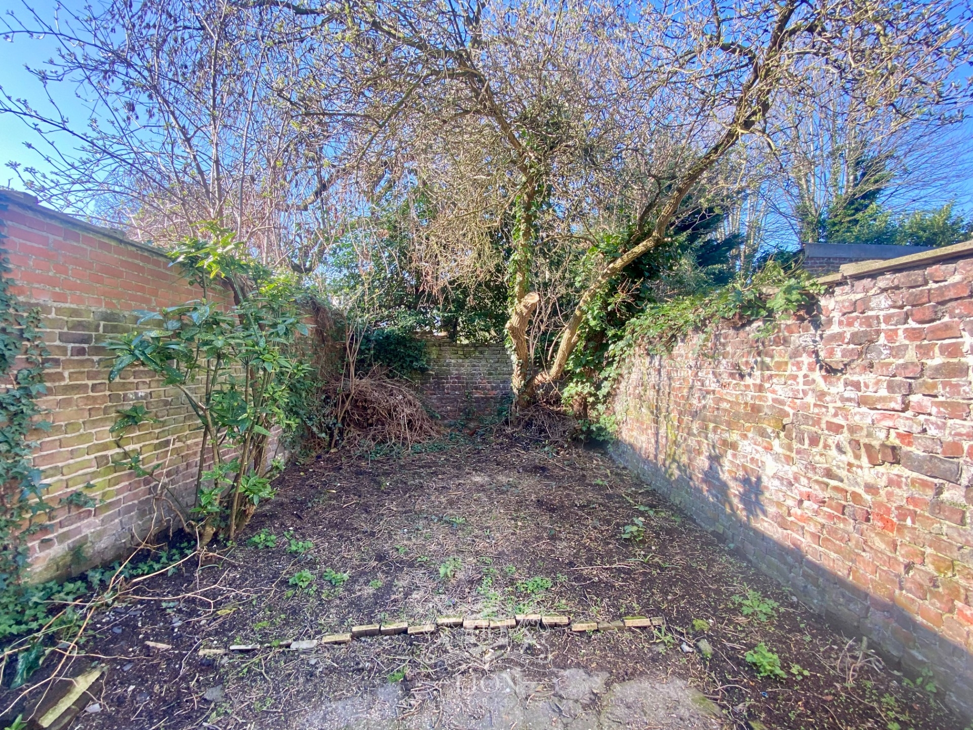 Rez de jardin t2 entierement renove proche metro Photo 6 - Le Lion Immobilier