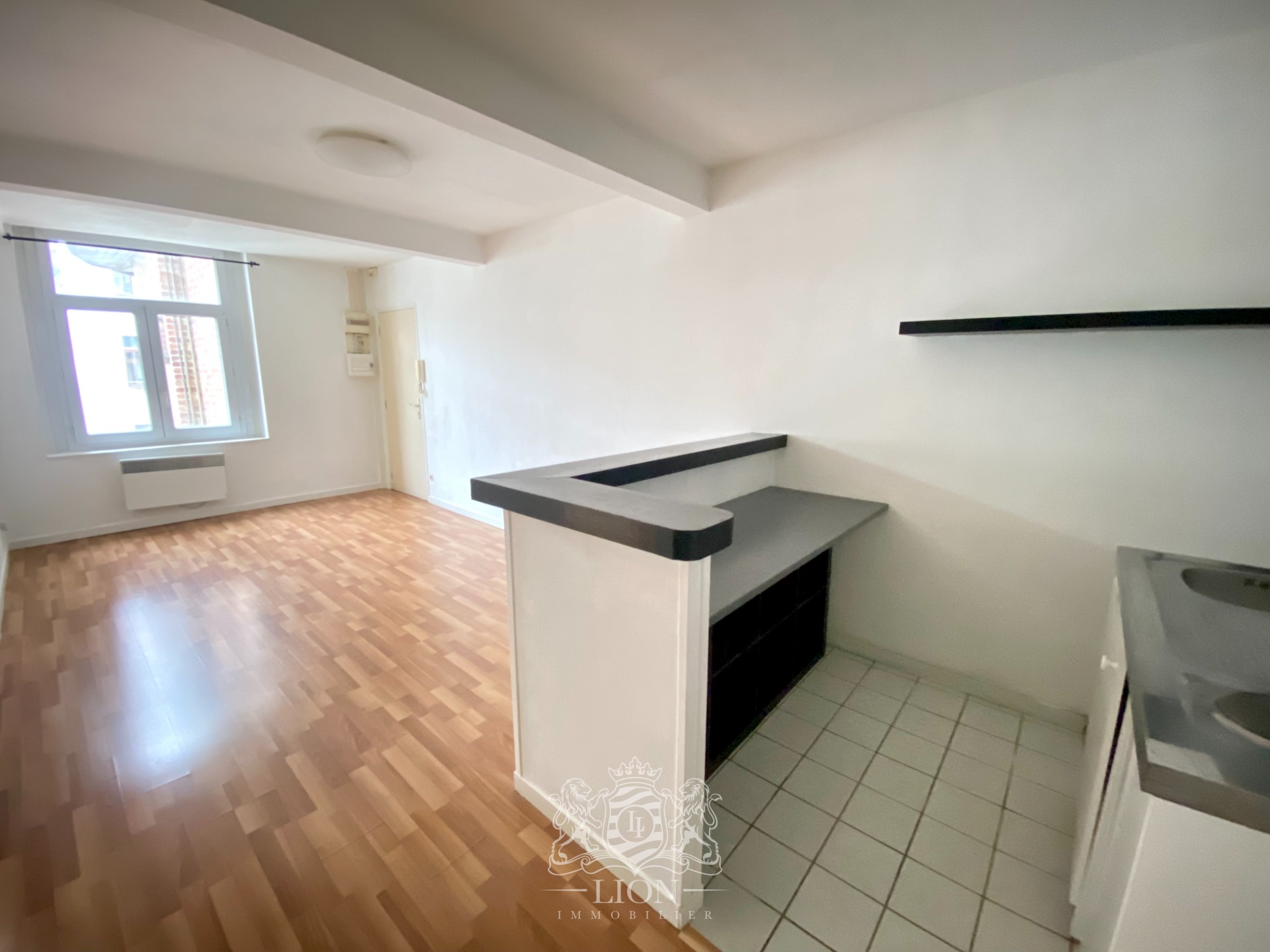Grand t2 hyper centre Photo 3 - Le Lion Immobilier