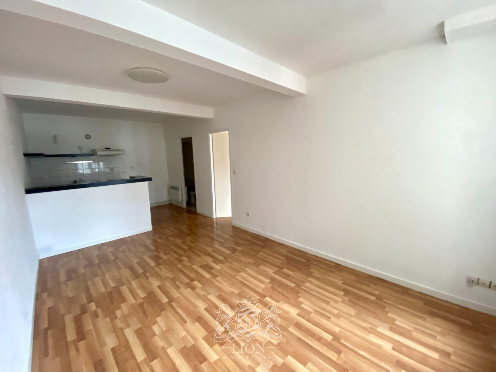 Grand t2 hyper centre Photo 3 - Le Lion Immobilier Grand t2 hyper centre Photo 3 - Le Lion Immobilier