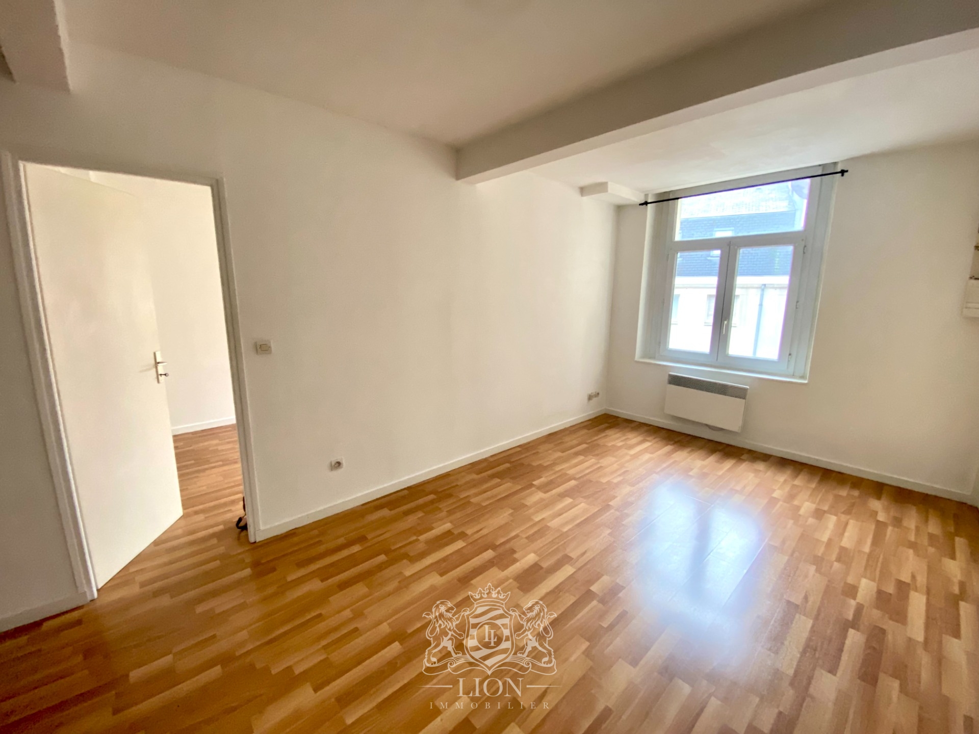 Grand t2 hyper centre Photo 4 - Le Lion Immobilier Grand t2 hyper centre Photo 4 - Le Lion Immobilier