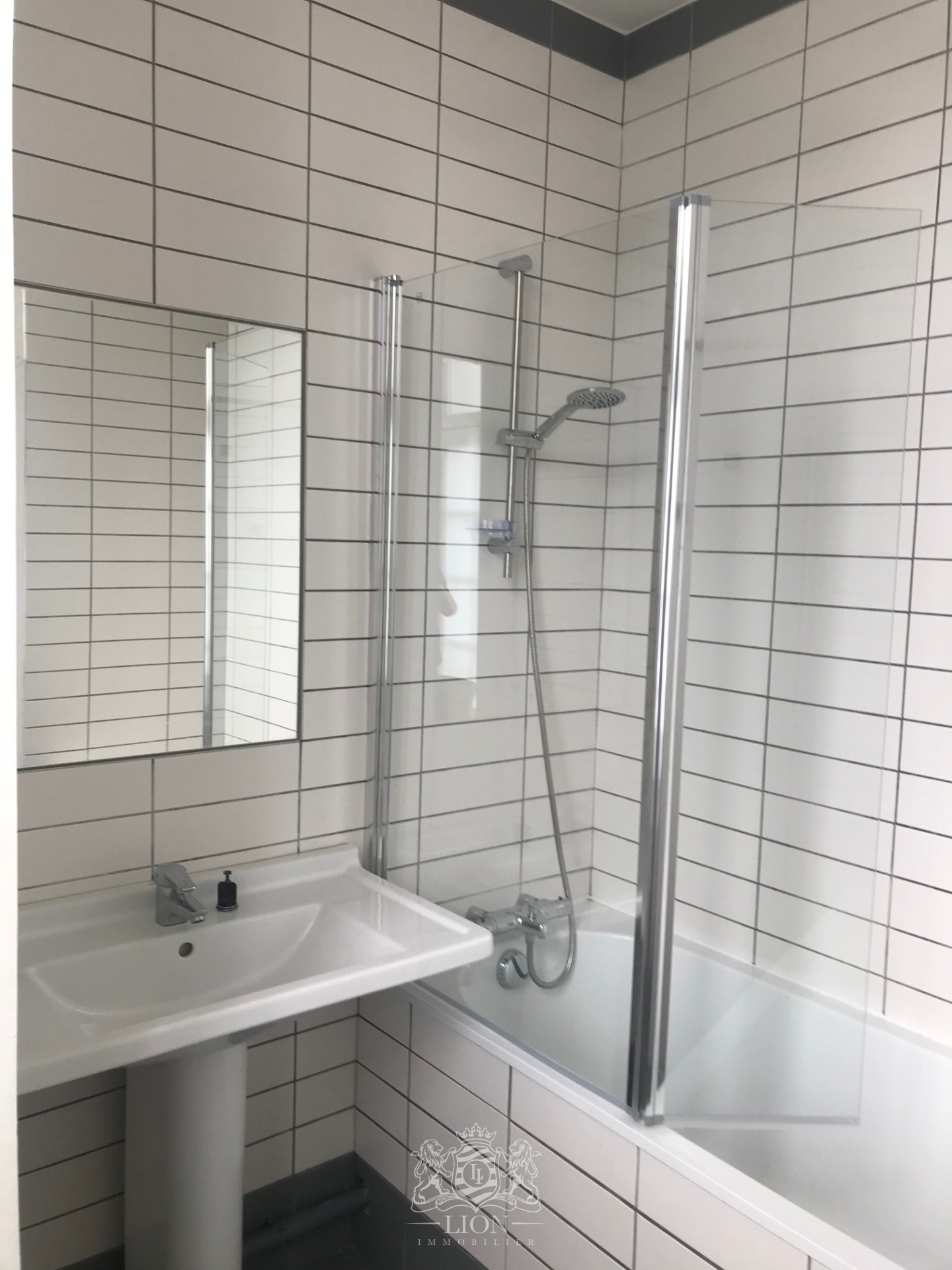 Asjq vieux lille t2 meuble avec jardin Photo 3 - Le Lion Immobilier Asjq vieux lille t2 meuble avec jardin Photo 3 - Le Lion Immobilier