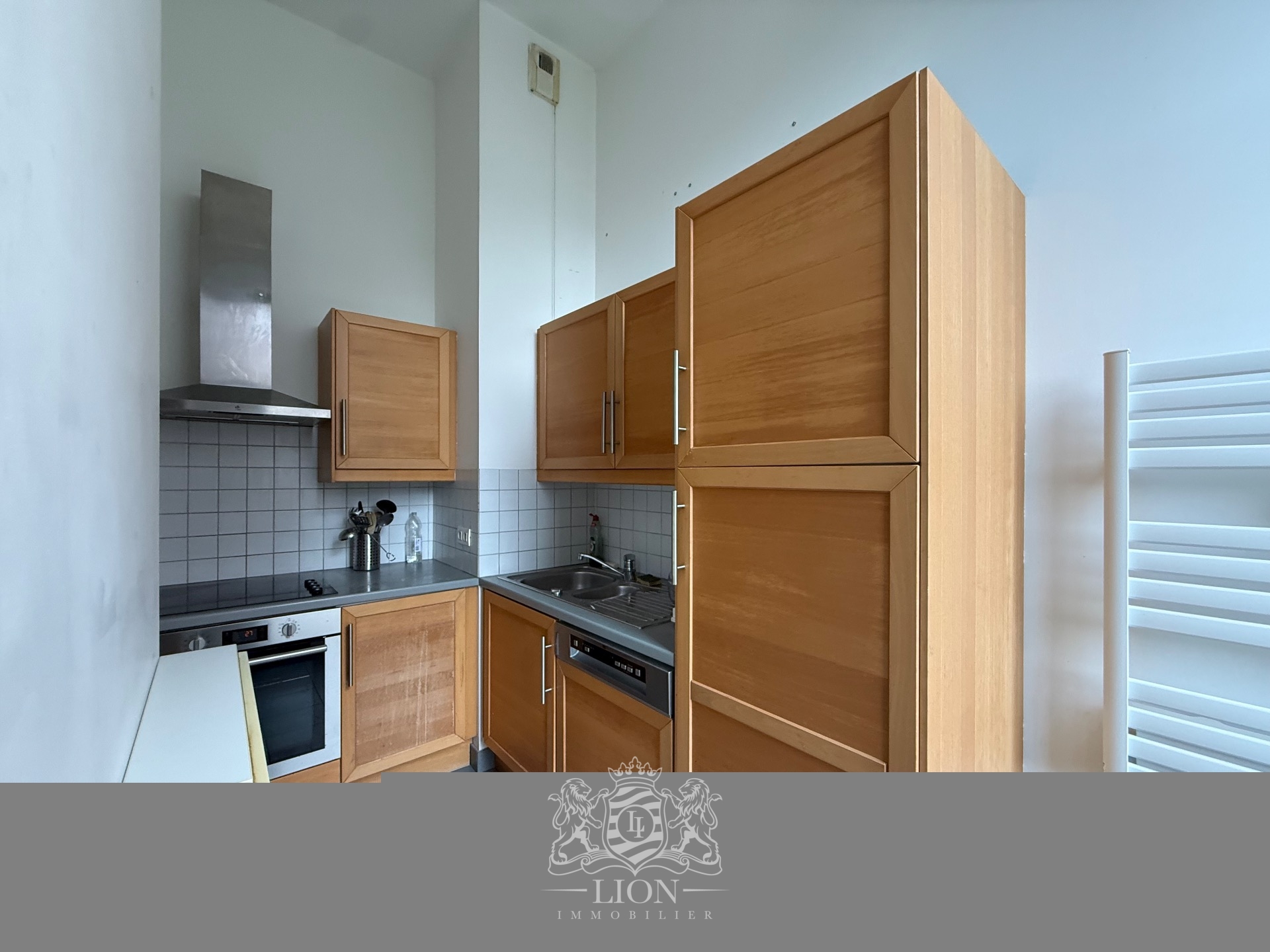 Asjq vieux lille t2 meuble avec jardin Photo 3 - Le Lion Immobilier