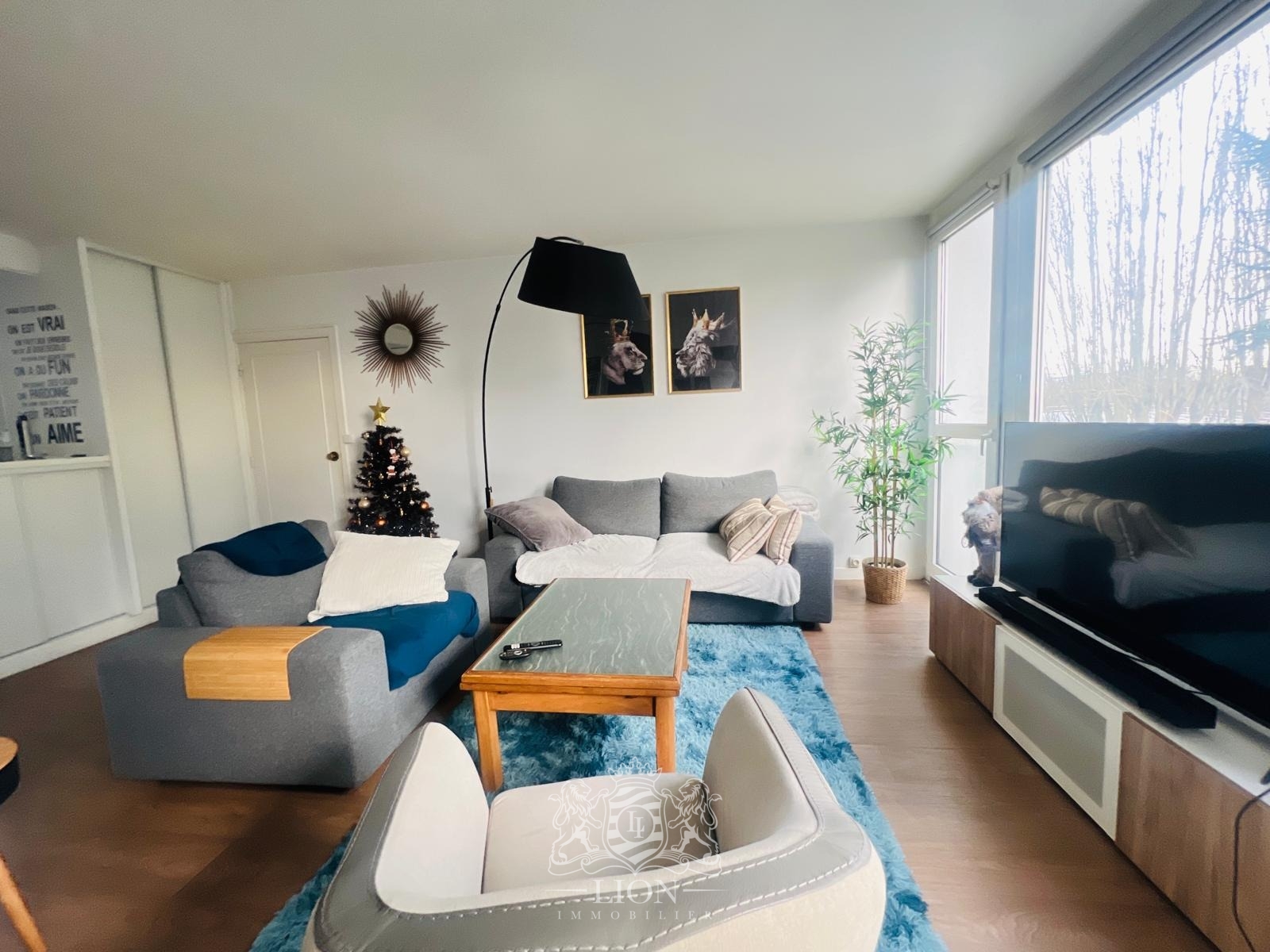 Joli t3 lumineux Photo 1 - Le Lion Immobilier