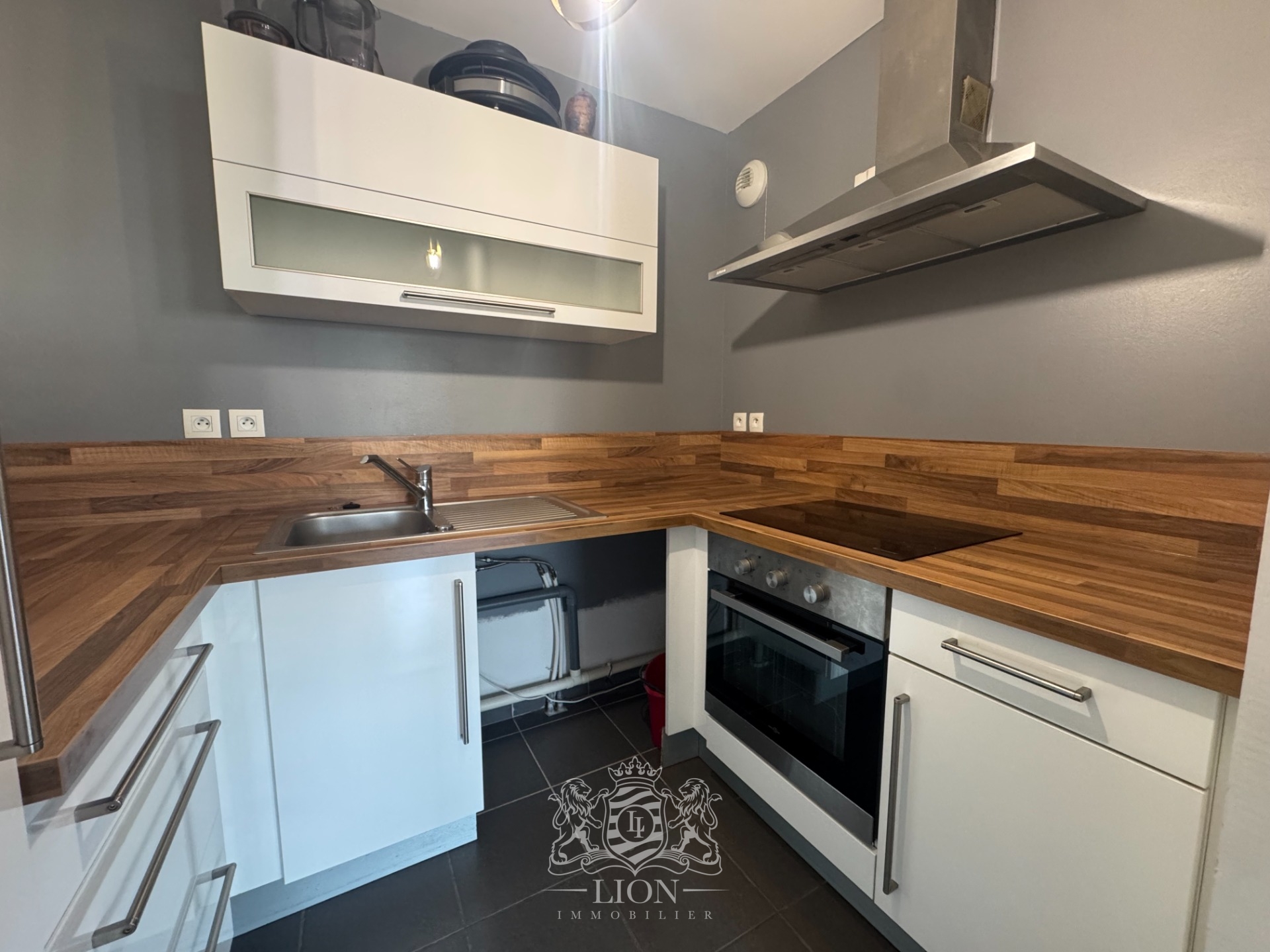 Appartement 1 chambre 52m2 centre ville Photo 4 - Le Lion Immobilier