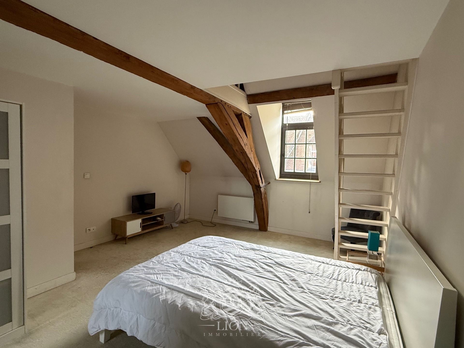 Asmu vieux lille t3 meuble en duplex Photo 13 - Le Lion Immobilier