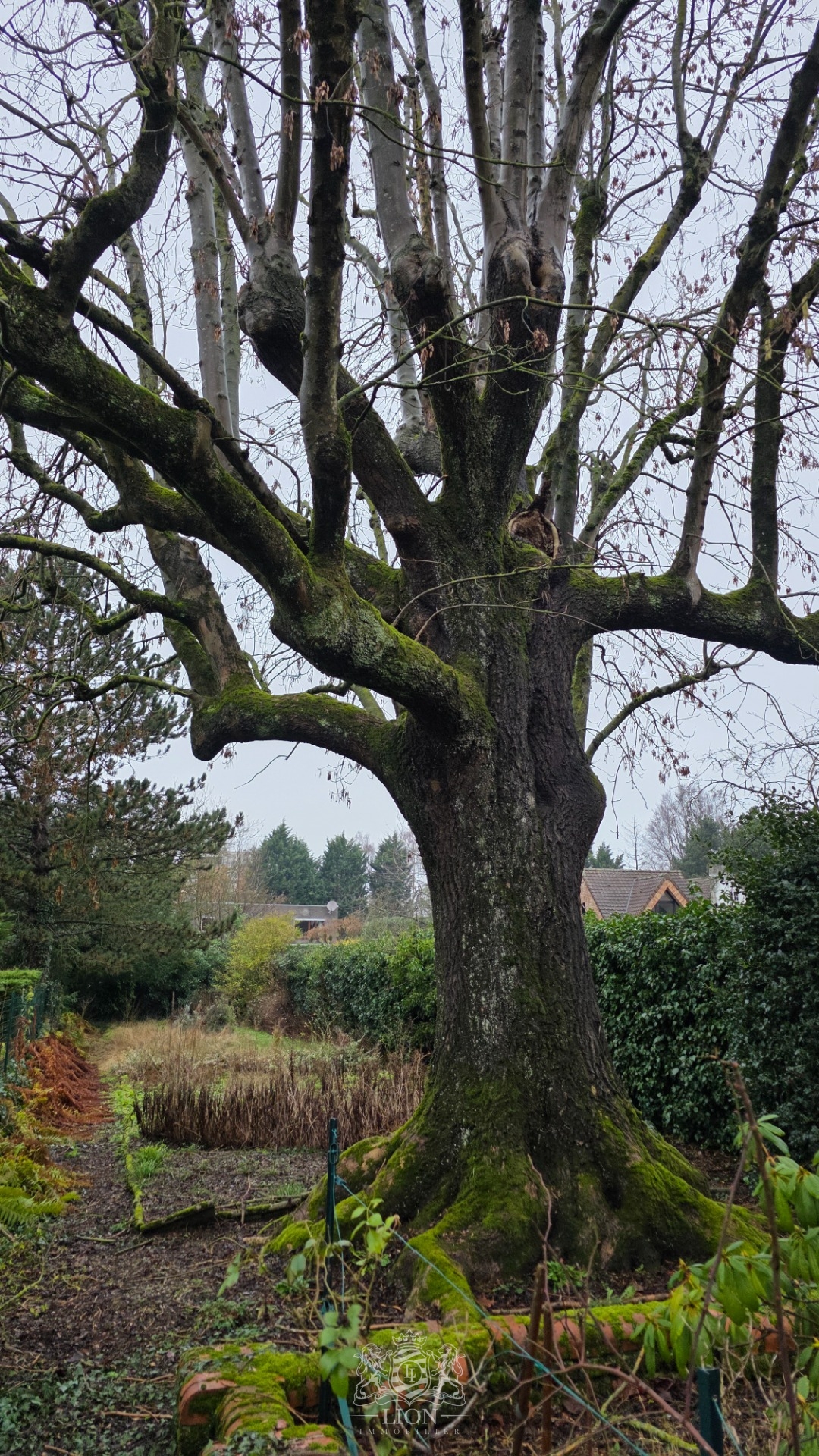 Exclusivite large maison bourgeoise avec un grand jardin Photo 21 - Le Lion Immobilier