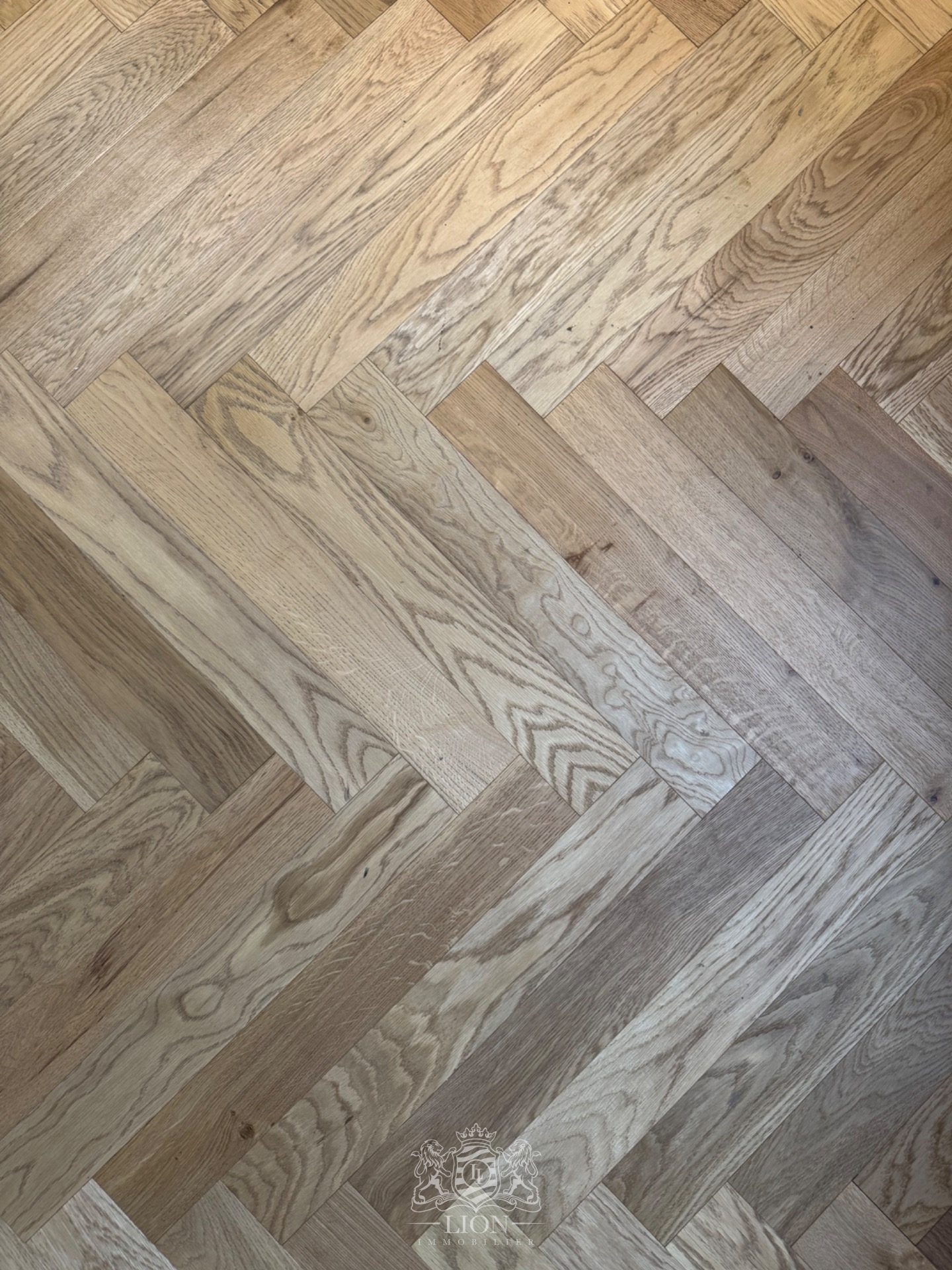 Coup de coeur avec garage canon d or lambersart Photo 4 - Le Lion Immobilier Coup de coeur avec garage canon d or lambersart Photo 4 - Le Lion Immobilier