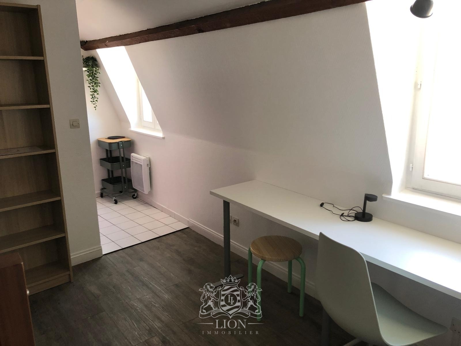 Place louise de bettignies ravissant studio Photo 5 - Le Lion Immobilier