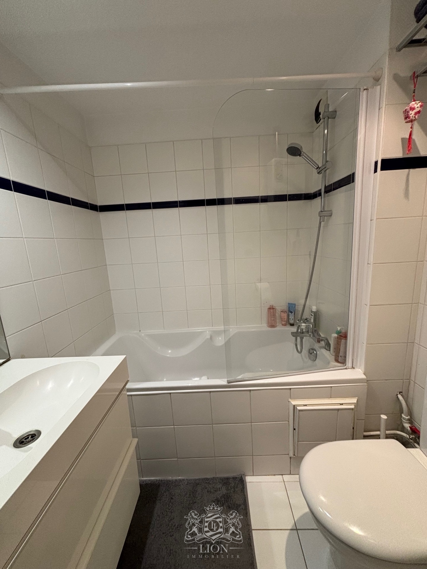 Vieux lille studio place bettignies Photo 11 - Le Lion Immobilier Vieux lille studio place bettignies Photo 11 - Le Lion Immobilier