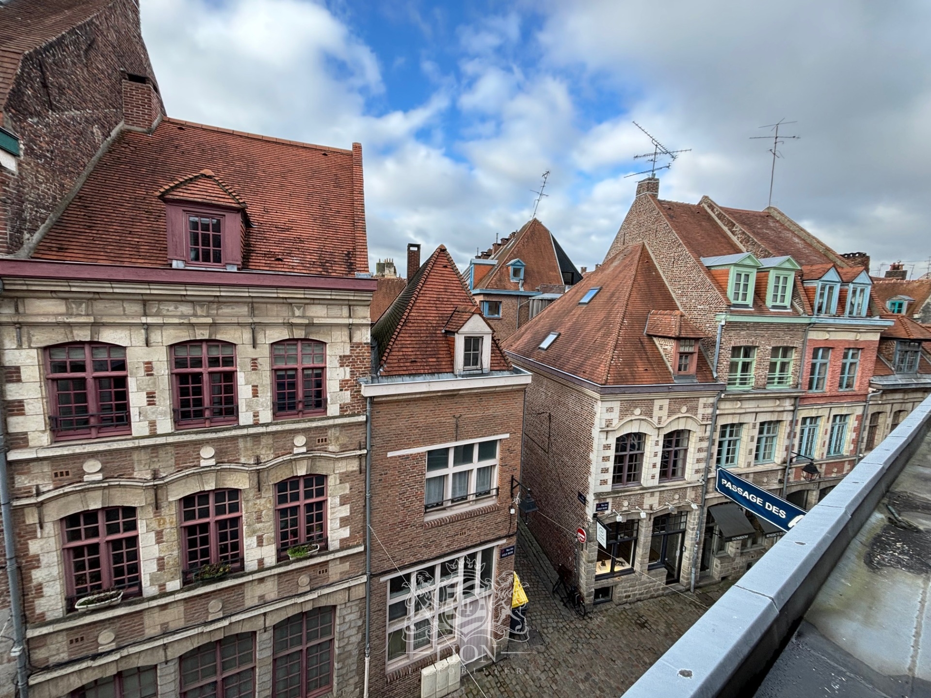 Vieux lille studio mezzanine vue treille Photo 8 - Le Lion Immobilier Vieux lille studio mezzanine vue treille Photo 8 - Le Lion Immobilier