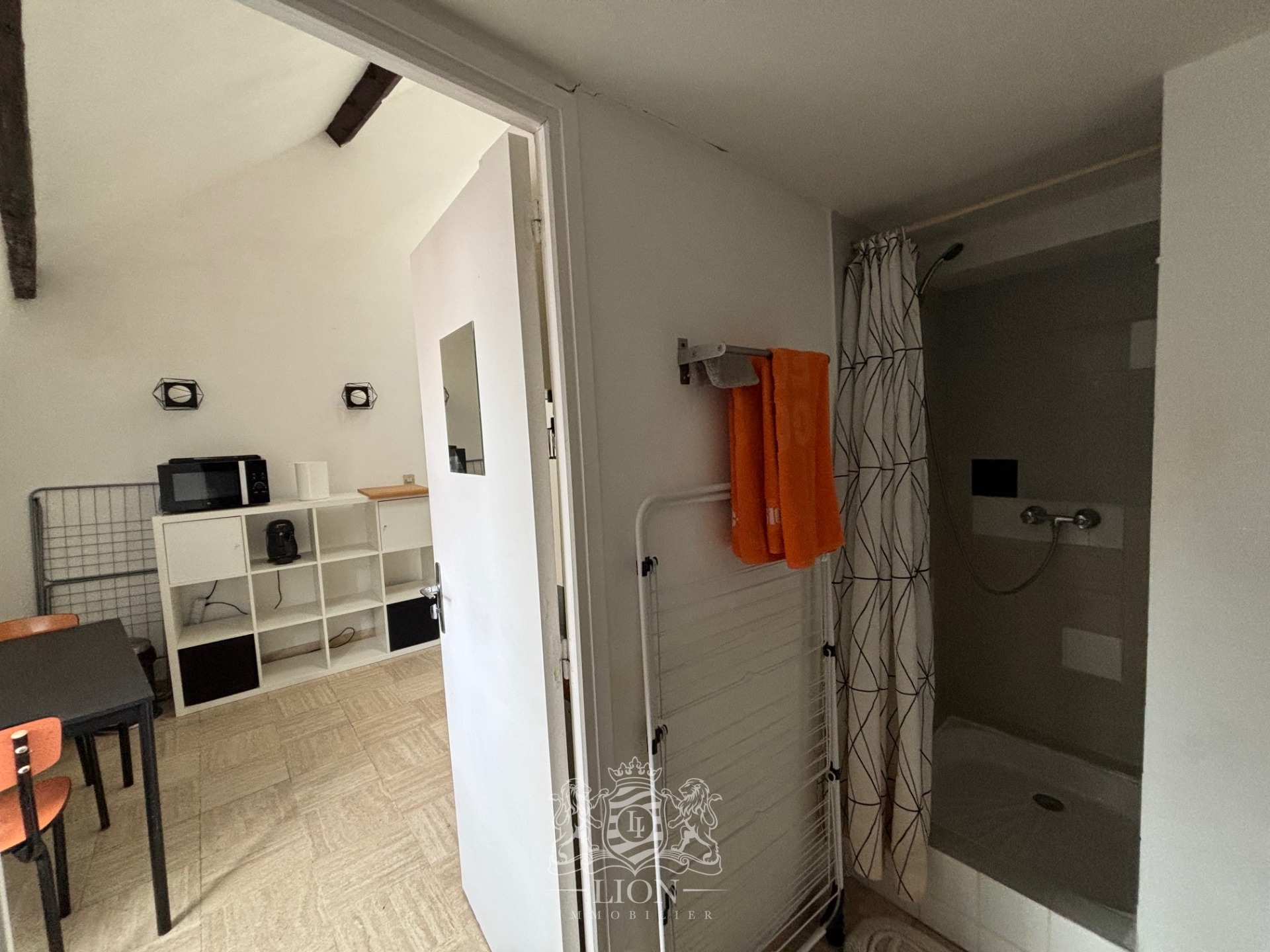 Vieux lille studio mezzanine vue treille Photo 9 - Le Lion Immobilier Vieux lille studio mezzanine vue treille Photo 9 - Le Lion Immobilier