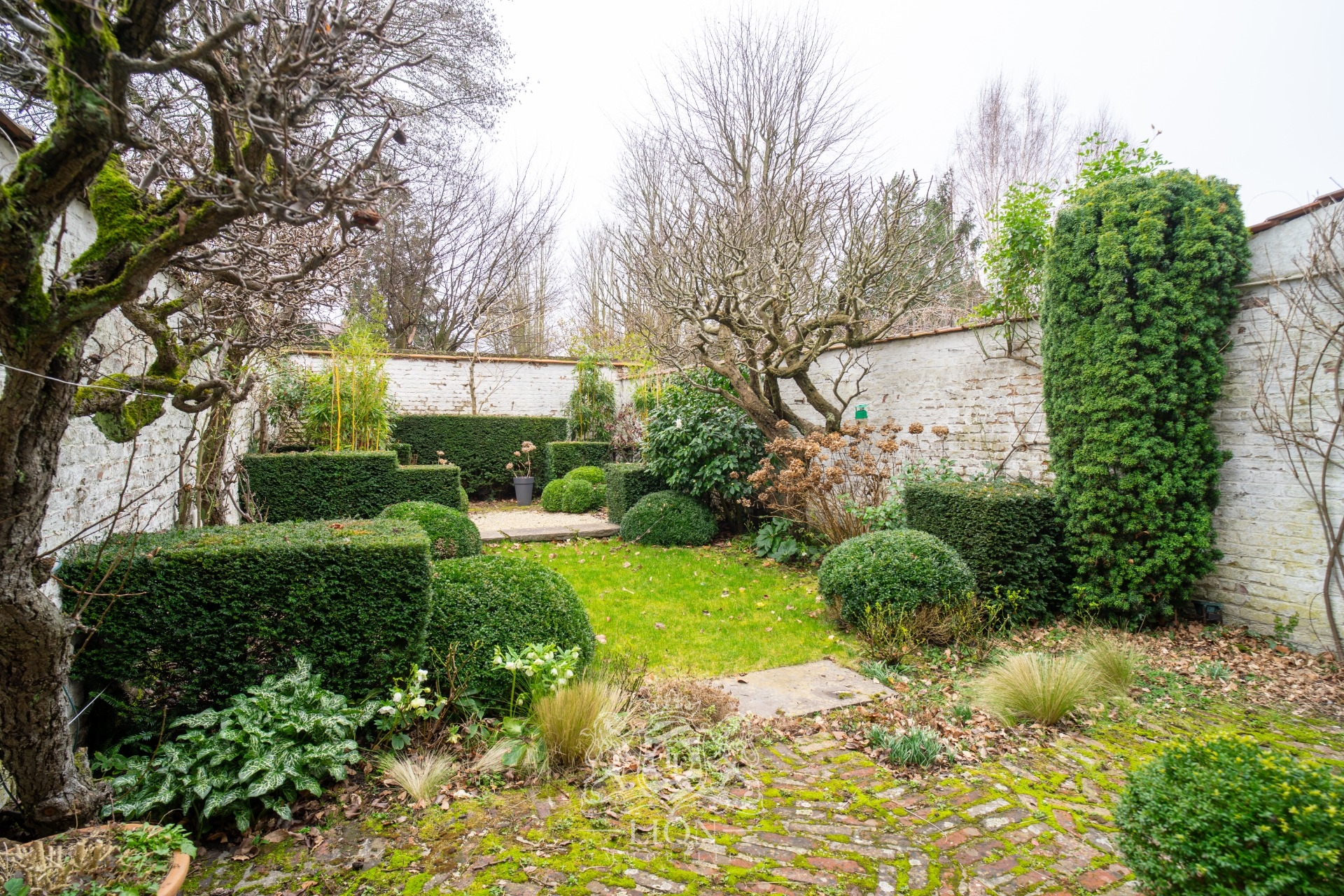 Lille vauban maison bourgeoise jardin garage Photo 6 - Le Lion Immobilier Lille vauban maison bourgeoise jardin garage Photo 6 - Le Lion Immobilier