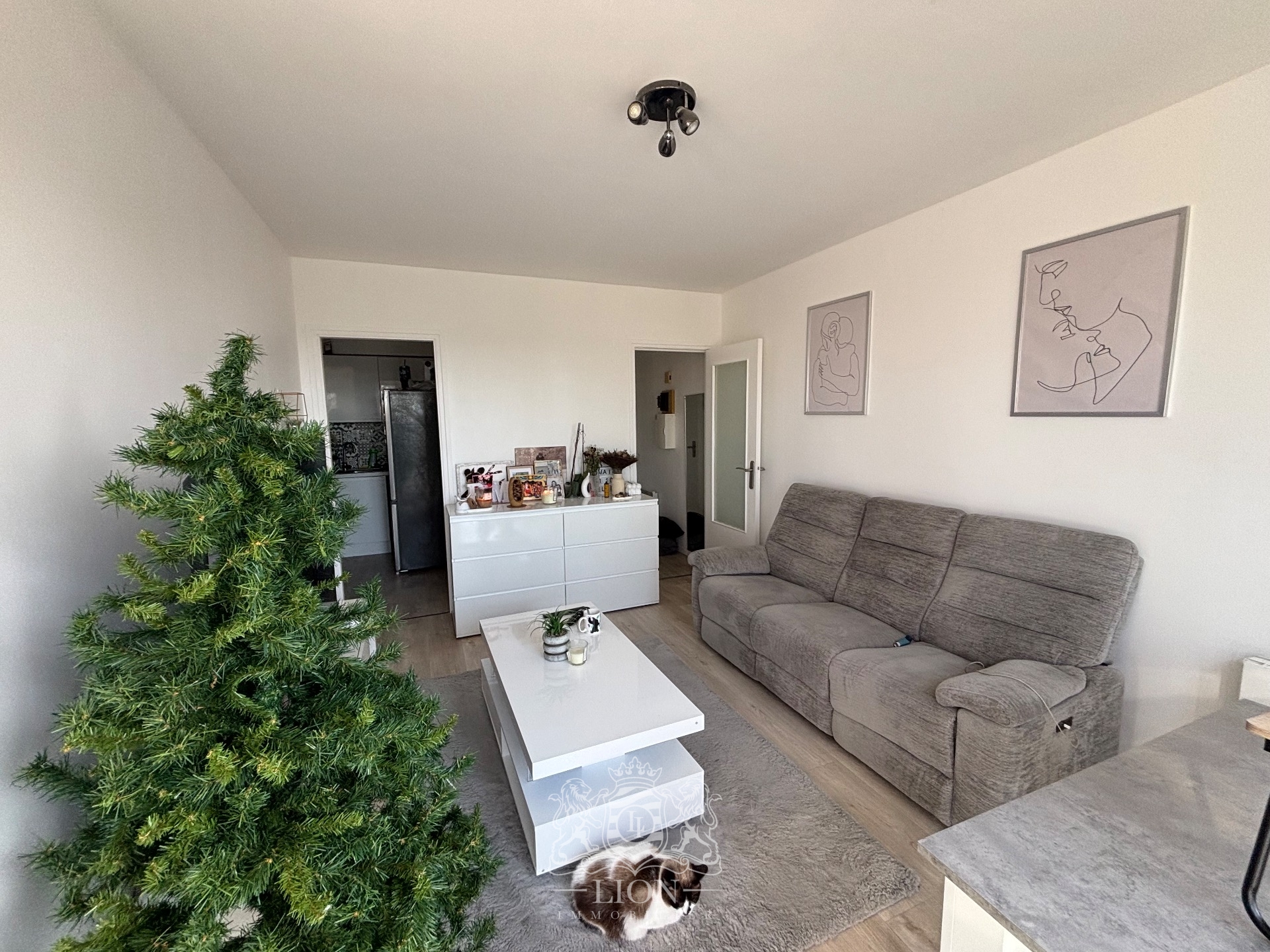 Appartement t1 bis quartier bourg lambersart Photo 4 - Le Lion Immobilier Appartement t1 bis quartier bourg lambersart Photo 4 - Le Lion Immobilier
