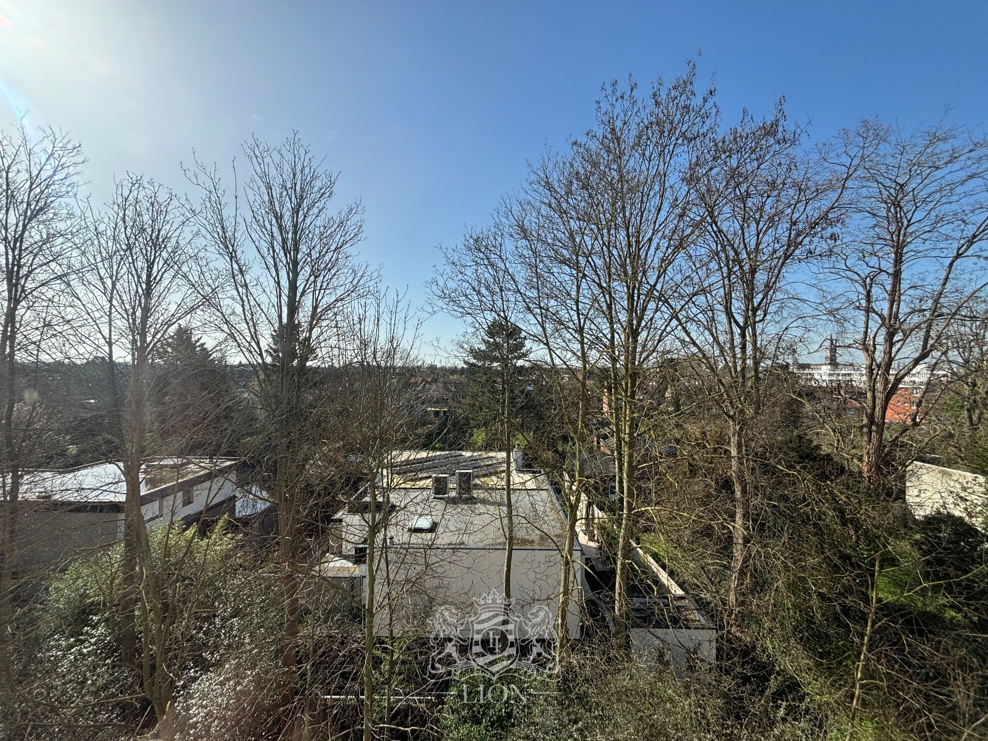 Appartement t1 bis quartier bourg lambersart Photo 4 - Le Lion Immobilier