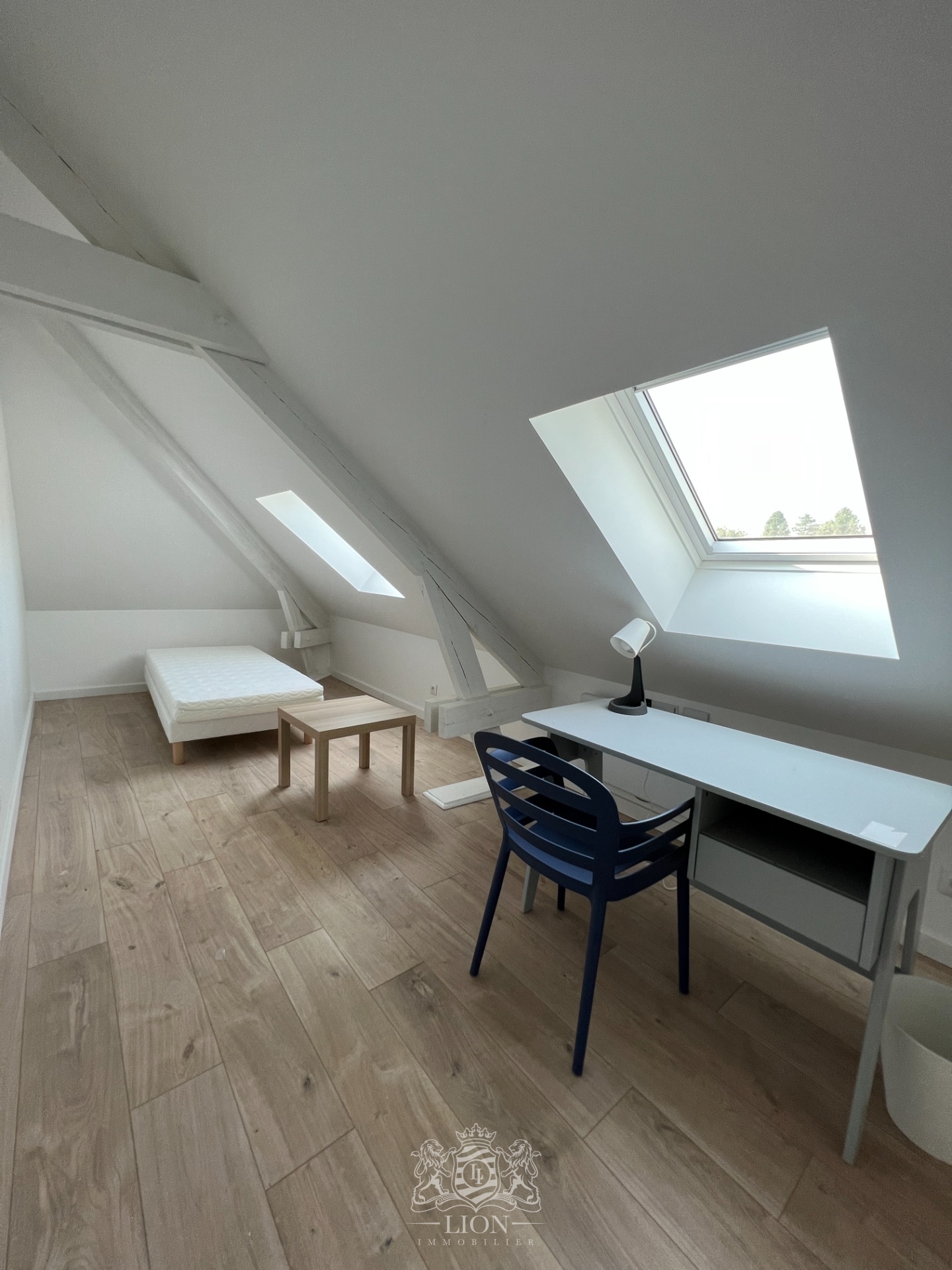 Coloc etudiante premium ascq village 7 chambres Photo 14 - Le Lion Immobilier Coloc etudiante premium ascq village 7 chambres Photo 14 - Le Lion Immobilier