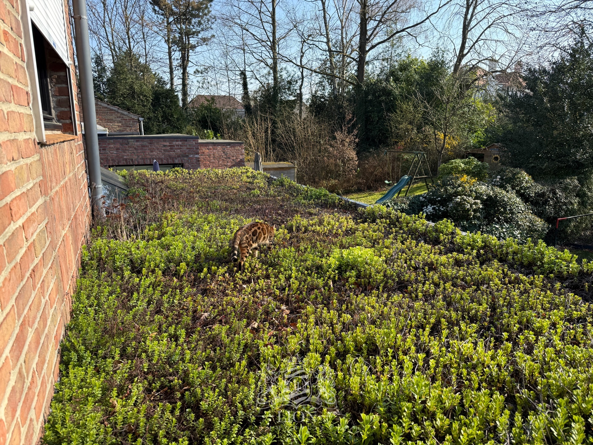Maison familiale d exception dans un secteur tres recherche Photo 8 - Le Lion Immobilier