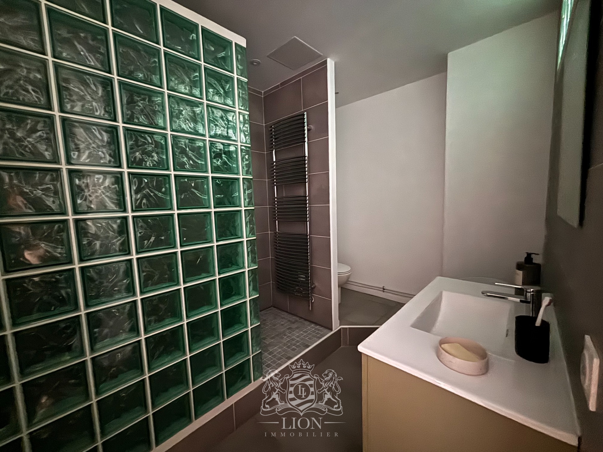 Studio terrasse sur jardin Photo 5 - Le Lion Immobilier Studio terrasse sur jardin Photo 5 - Le Lion Immobilier