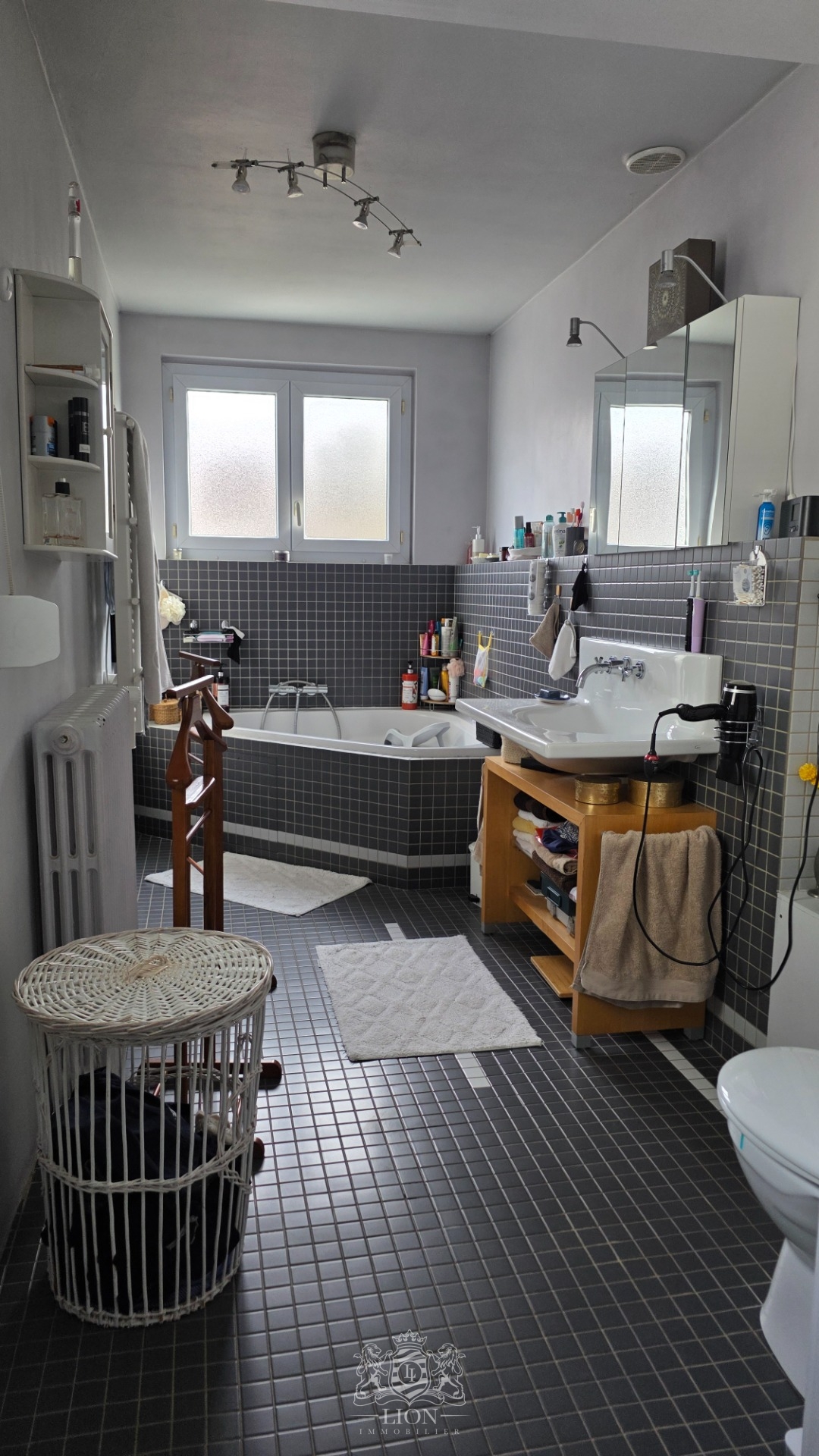 Buisson maison art deco remplie de charme Photo 16 - Le Lion Immobilier Buisson maison art deco remplie de charme Photo 16 - Le Lion Immobilier