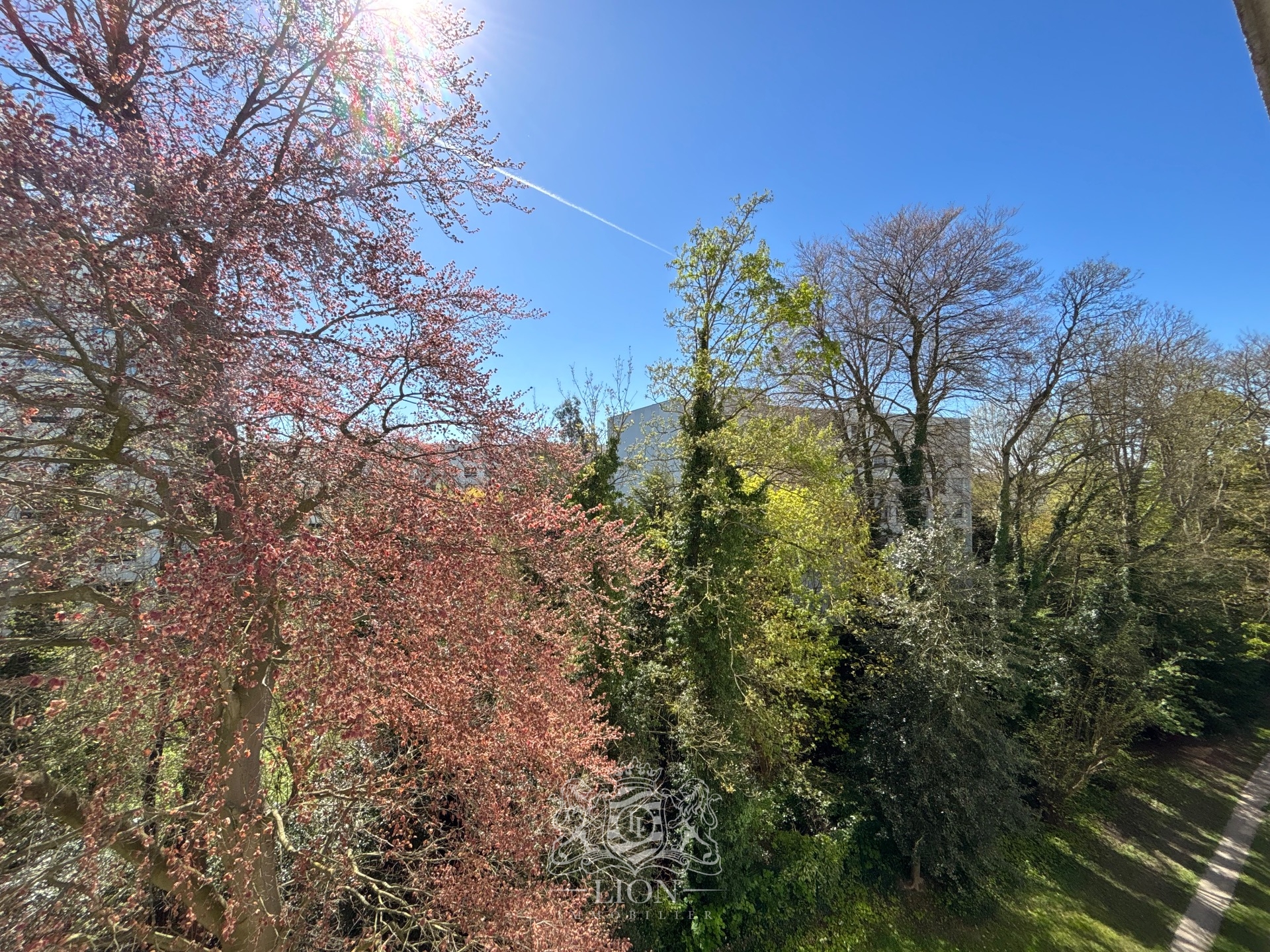 Appartement t4 au dernier etage canon d or Photo 4 - Le Lion Immobilier Appartement t4 au dernier etage canon d or Photo 4 - Le Lion Immobilier