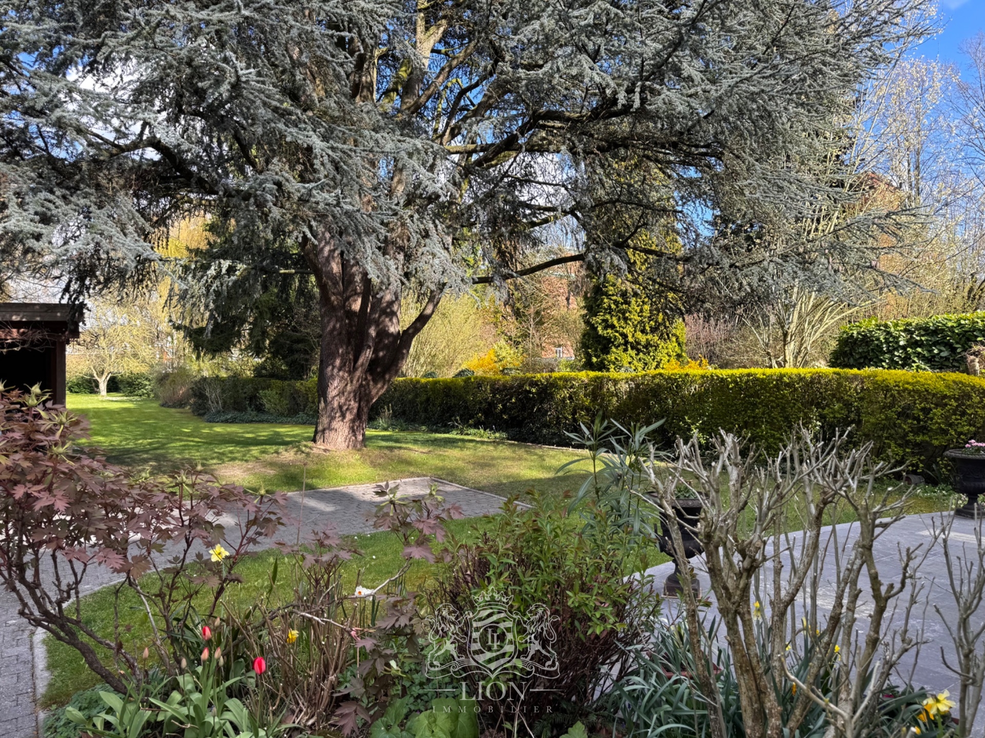 Semi plain pied individuel au coeur de lambersart Photo 8 - Le Lion Immobilier