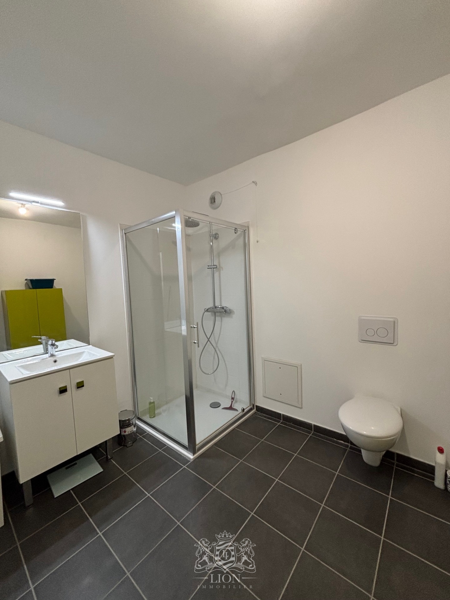 Lille centre porte de paris t2 balcon parking Photo 8 - Le Lion Immobilier Lille centre porte de paris t2 balcon parking Photo 8 - Le Lion Immobilier