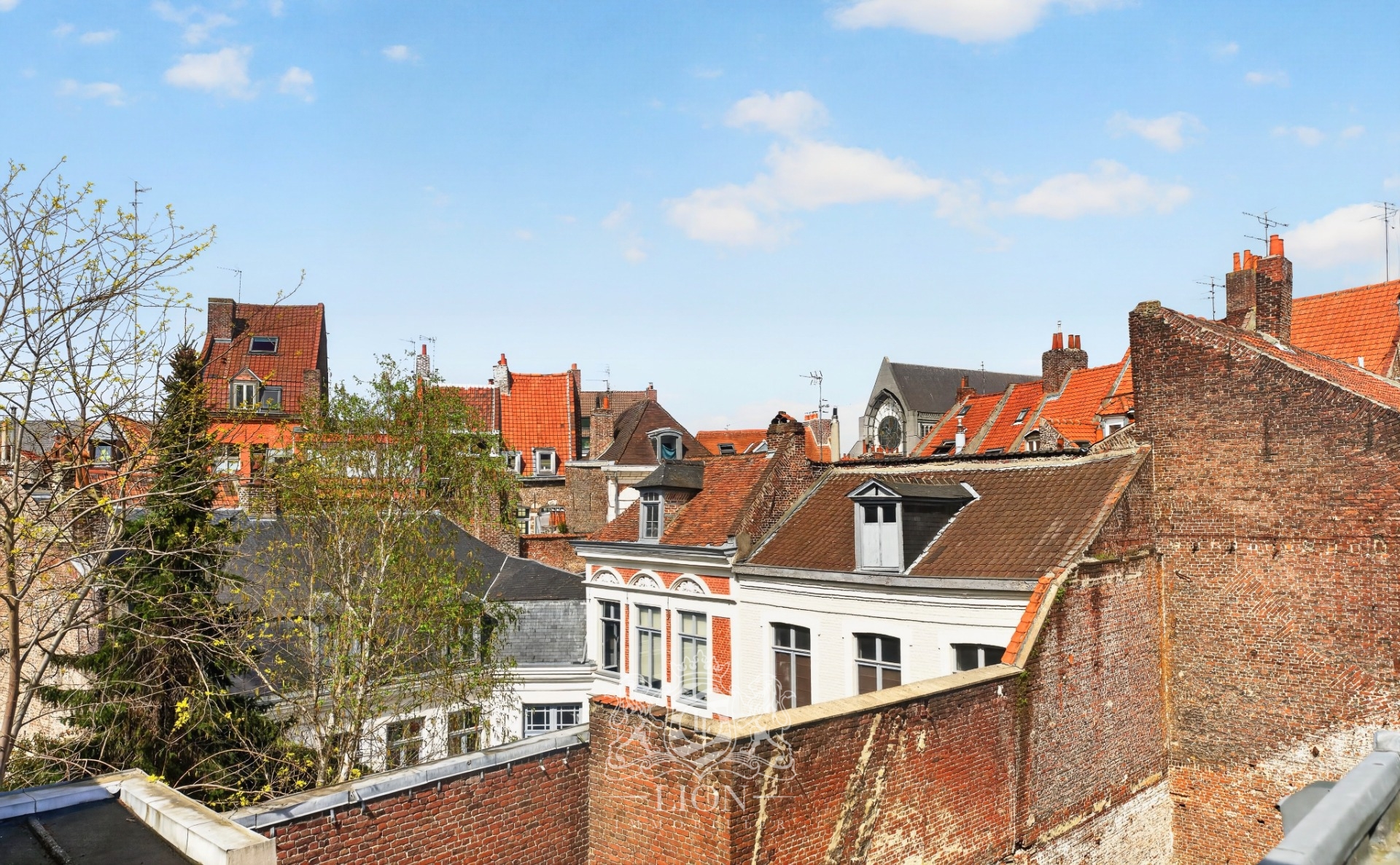 Vieux lille hyper centre appartement 85m Photo 17 - Le Lion Immobilier