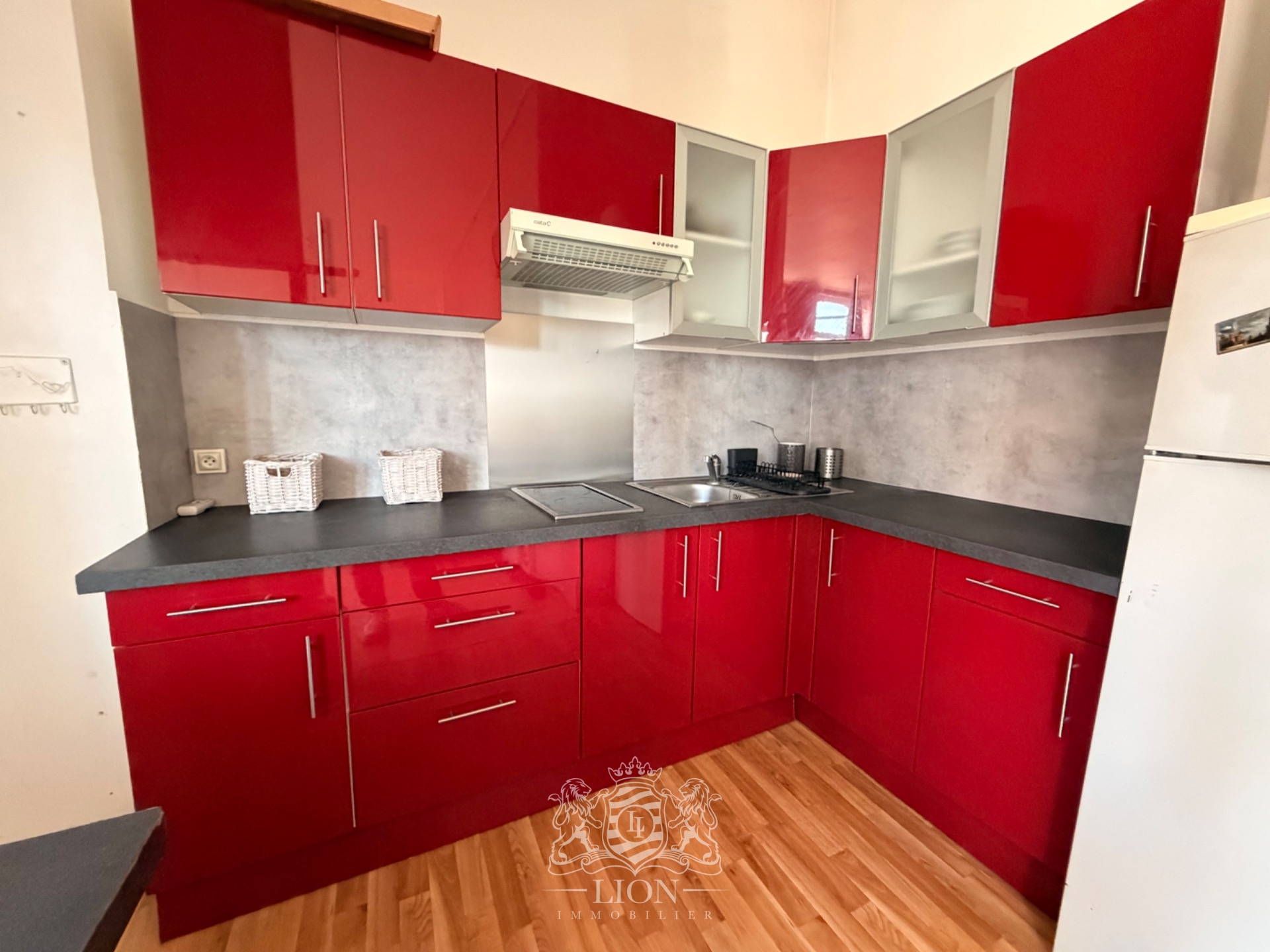 Studio avec du charme et un emplacement ideal Photo 4 - Le Lion Immobilier
