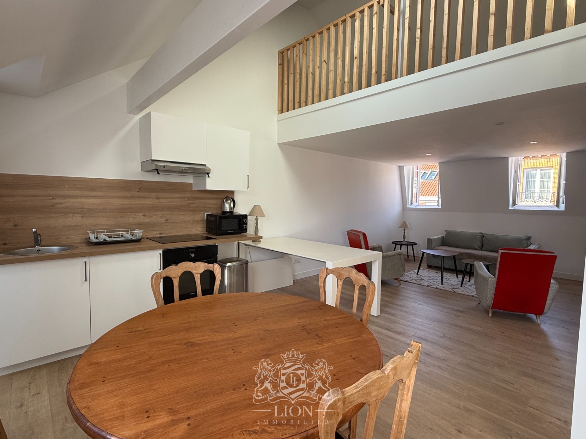Aube t2 bis meuble 49m2   28m2 de mezzanine renove Photo 1 - Le Lion Immobilier
