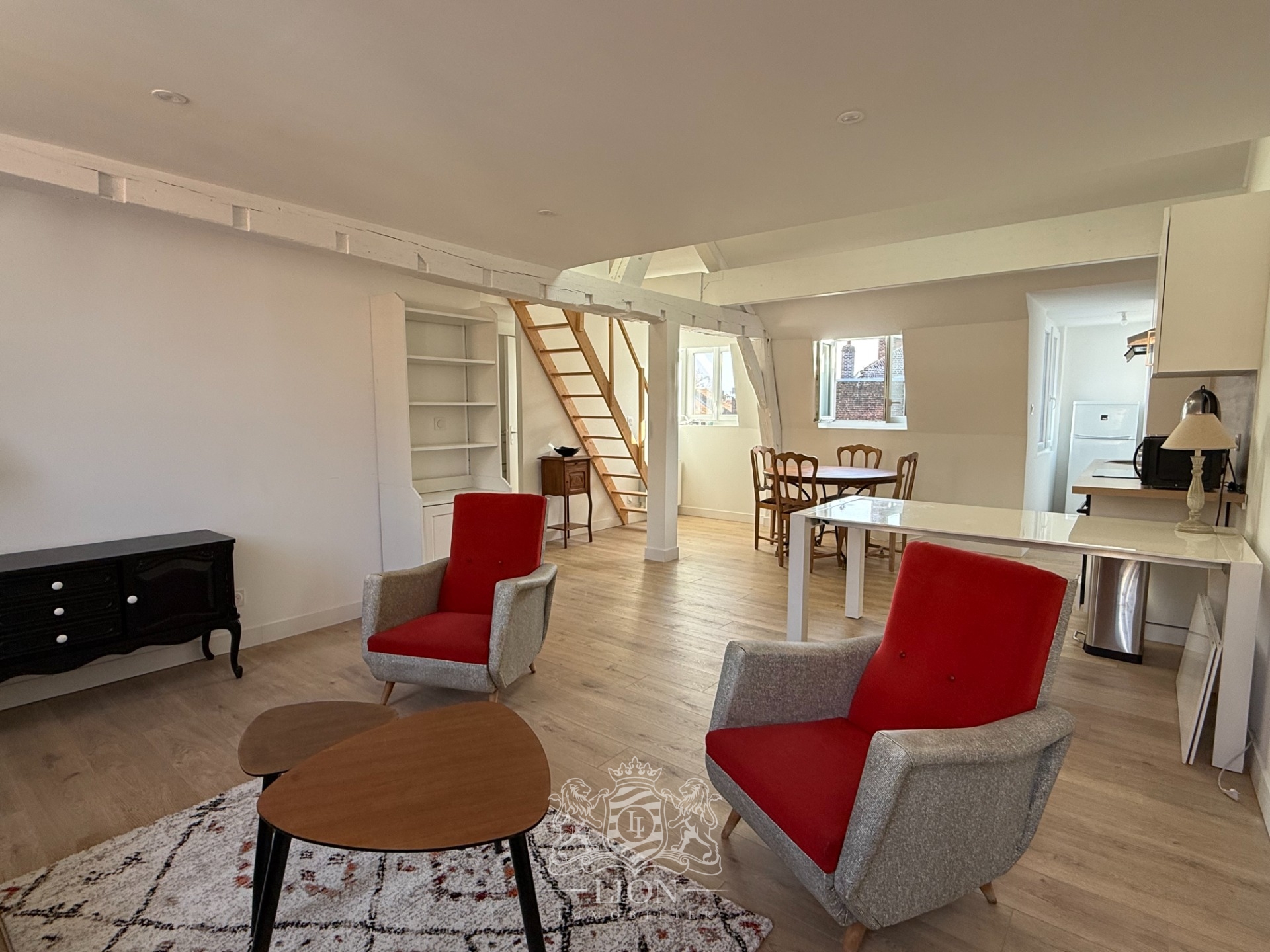 Aube t2 bis meuble 49m2   28m2 de mezzanine renove Photo 2 - Le Lion Immobilier