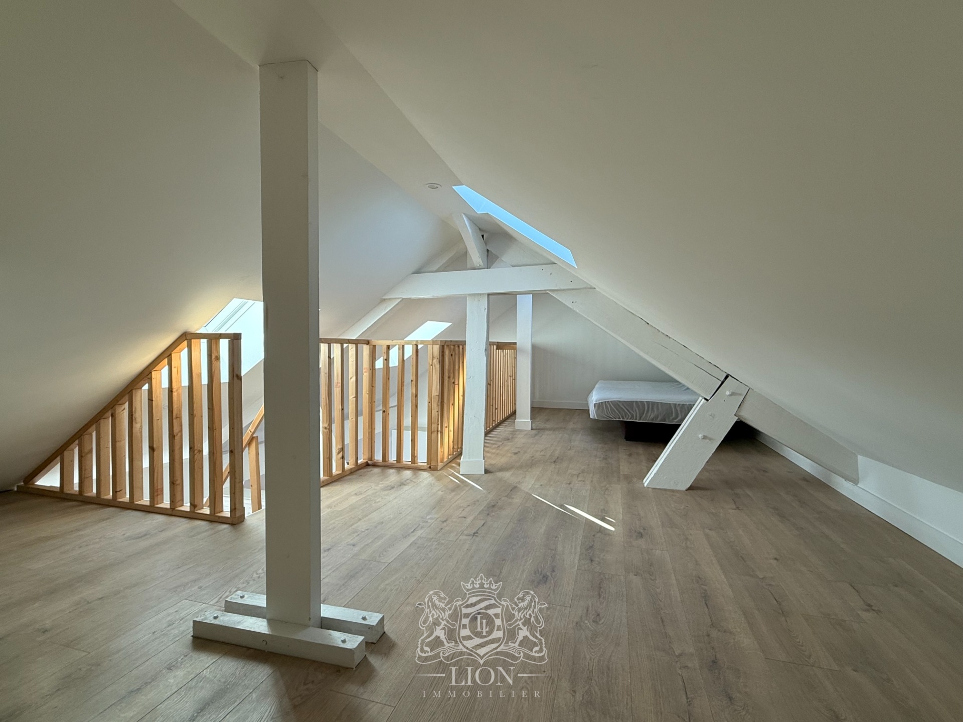Aube t2 bis meuble 49m2   28m2 de mezzanine renove Photo 4 - Le Lion Immobilier