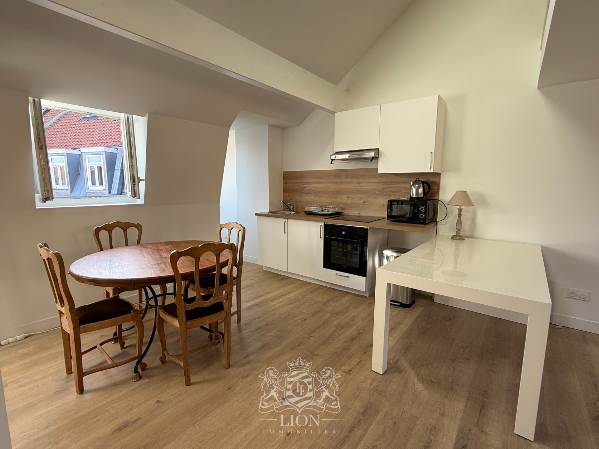 Aube t2 bis meuble 49m2   28m2 de mezzanine renove Photo 6 - Le Lion Immobilier