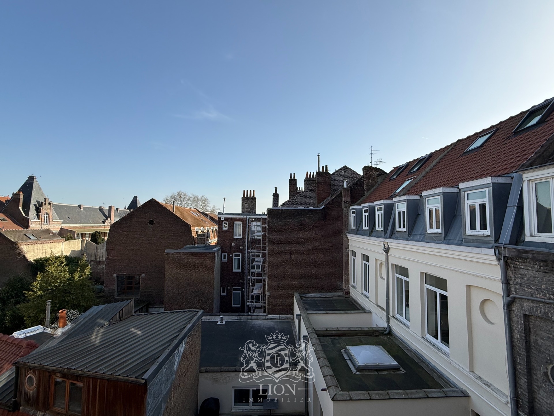 Aube t2 bis meuble 49m2   28m2 de mezzanine renove Photo 7 - Le Lion Immobilier