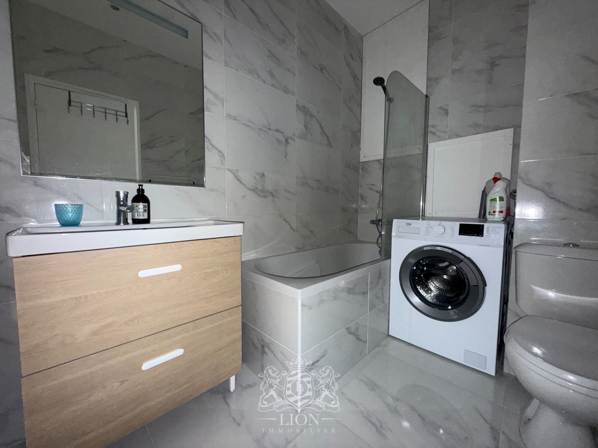 Augq lille centre t1 bis meuble Photo 6 - Le Lion Immobilier