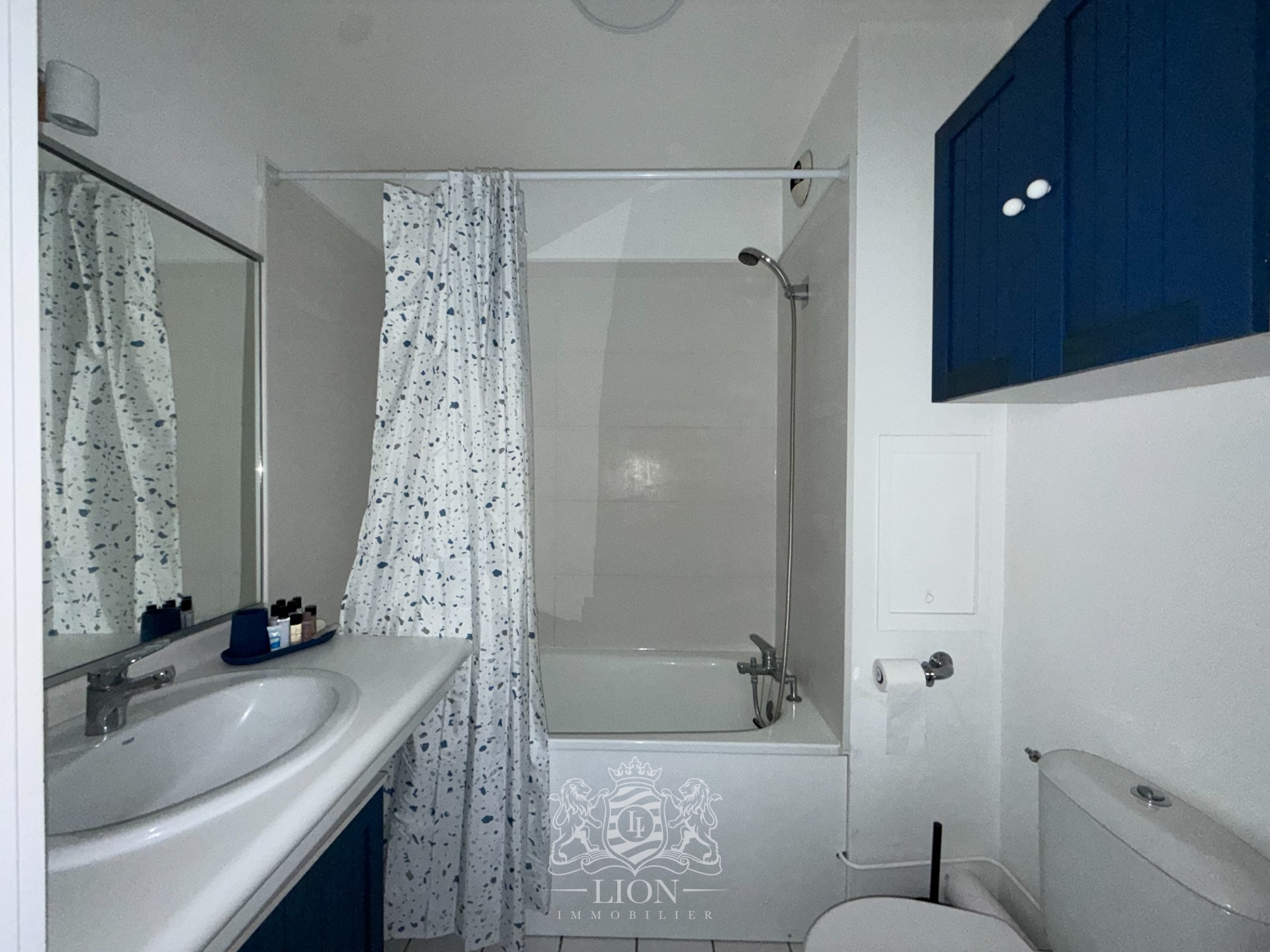 Auhh vieux lille t2 meuble Photo 6 - Le Lion Immobilier Auhh vieux lille t2 meuble Photo 6 - Le Lion Immobilier