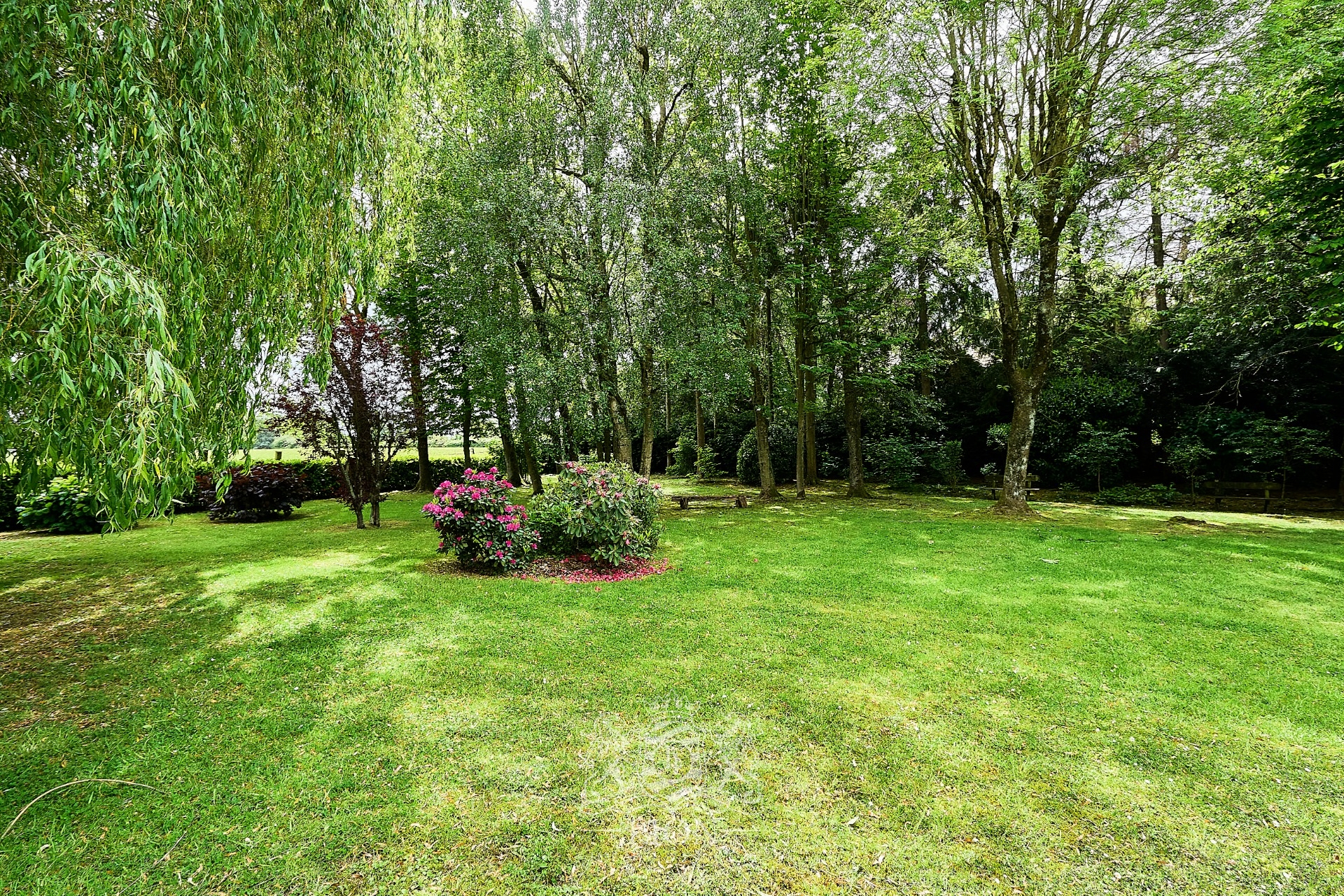 Rare individuelle croix blanche 3100 m2 terrain Photo 2 - Le Lion Immobilier Rare individuelle croix blanche 3100 m2 terrain Photo 2 - Le Lion Immobilier