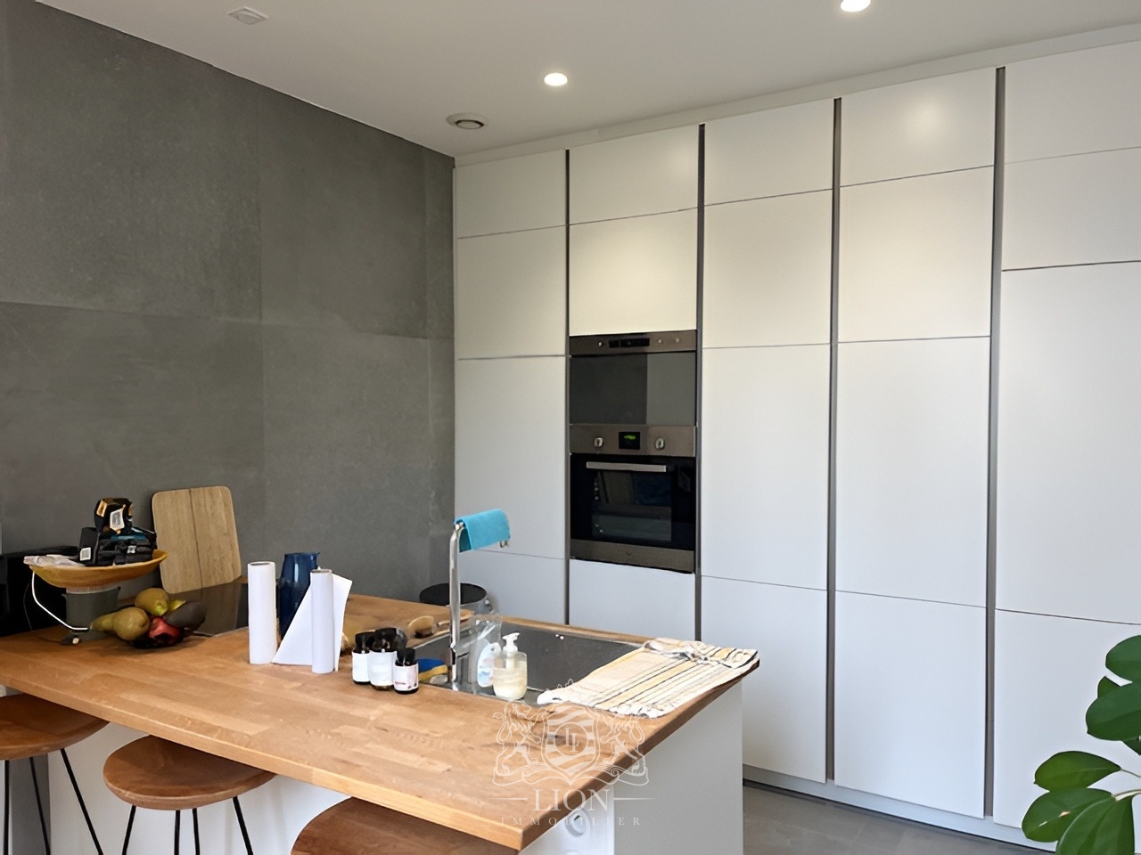 Aume vieux lille t3 meuble Photo 4 - Le Lion Immobilier Aume vieux lille t3 meuble Photo 4 - Le Lion Immobilier