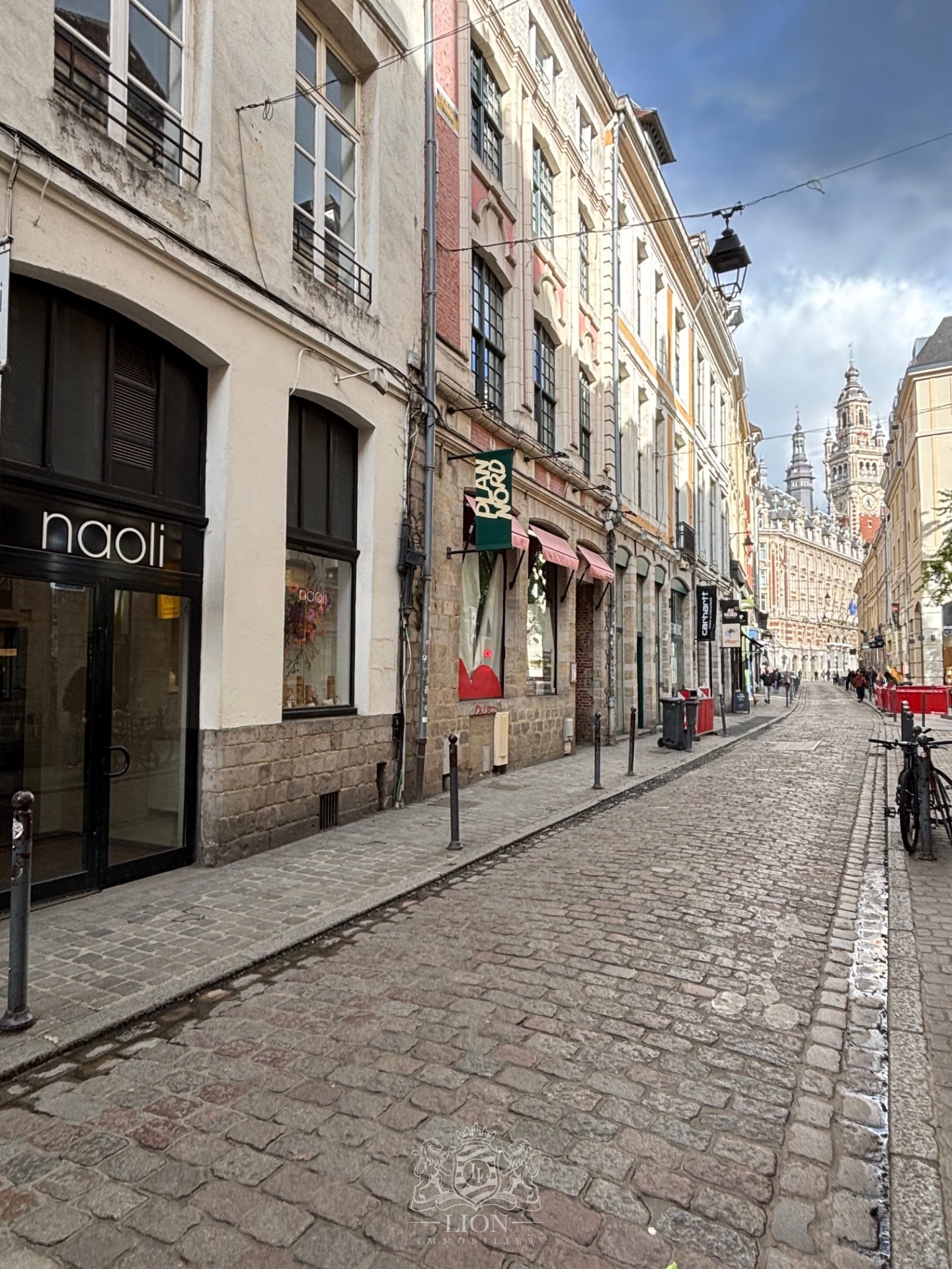 Vieux lille studio meuble Photo 7 - Le Lion Immobilier Vieux lille studio meuble Photo 7 - Le Lion Immobilier