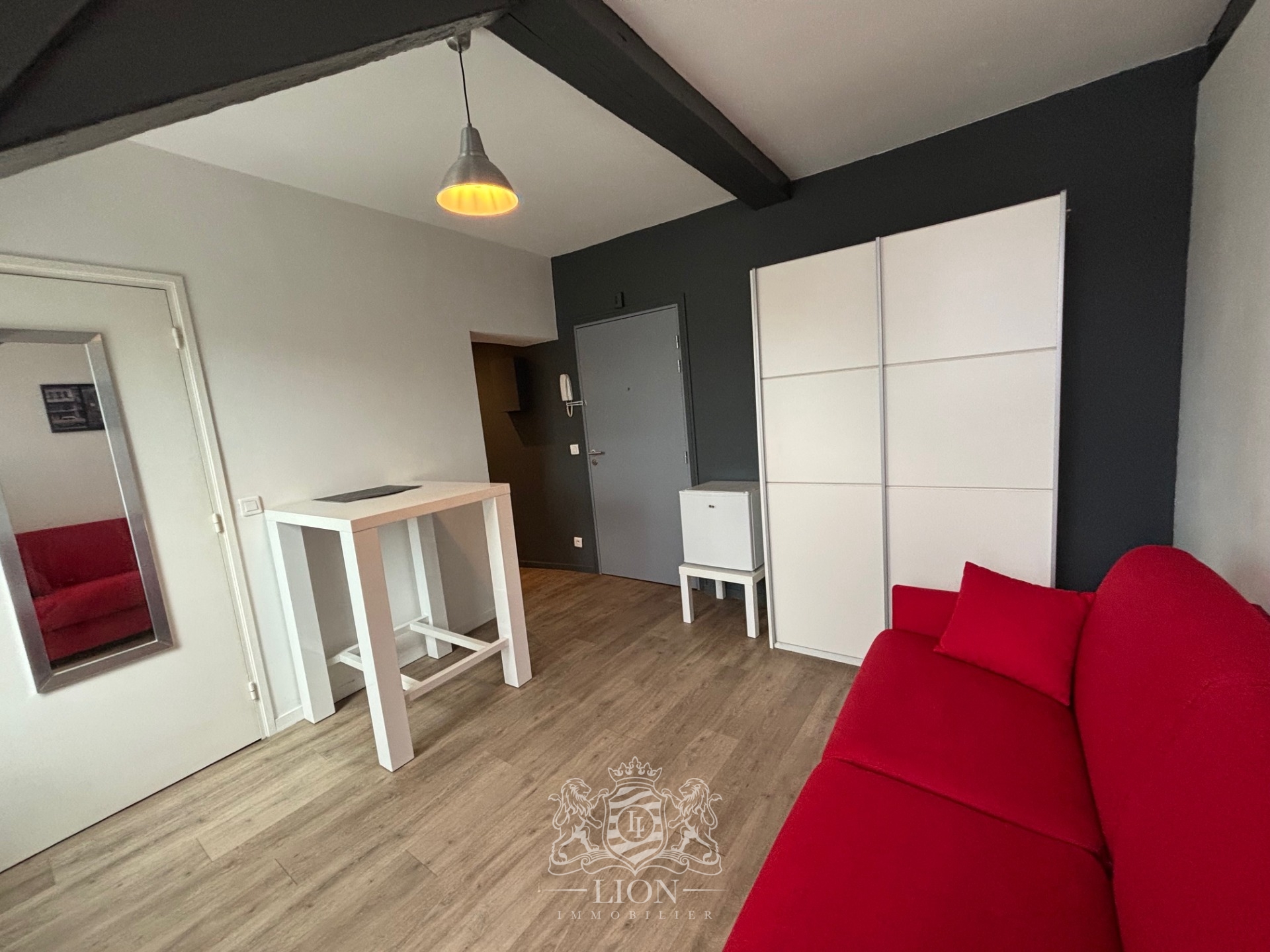 Vieux lille studio meuble Photo 9 - Le Lion Immobilier Vieux lille studio meuble Photo 9 - Le Lion Immobilier