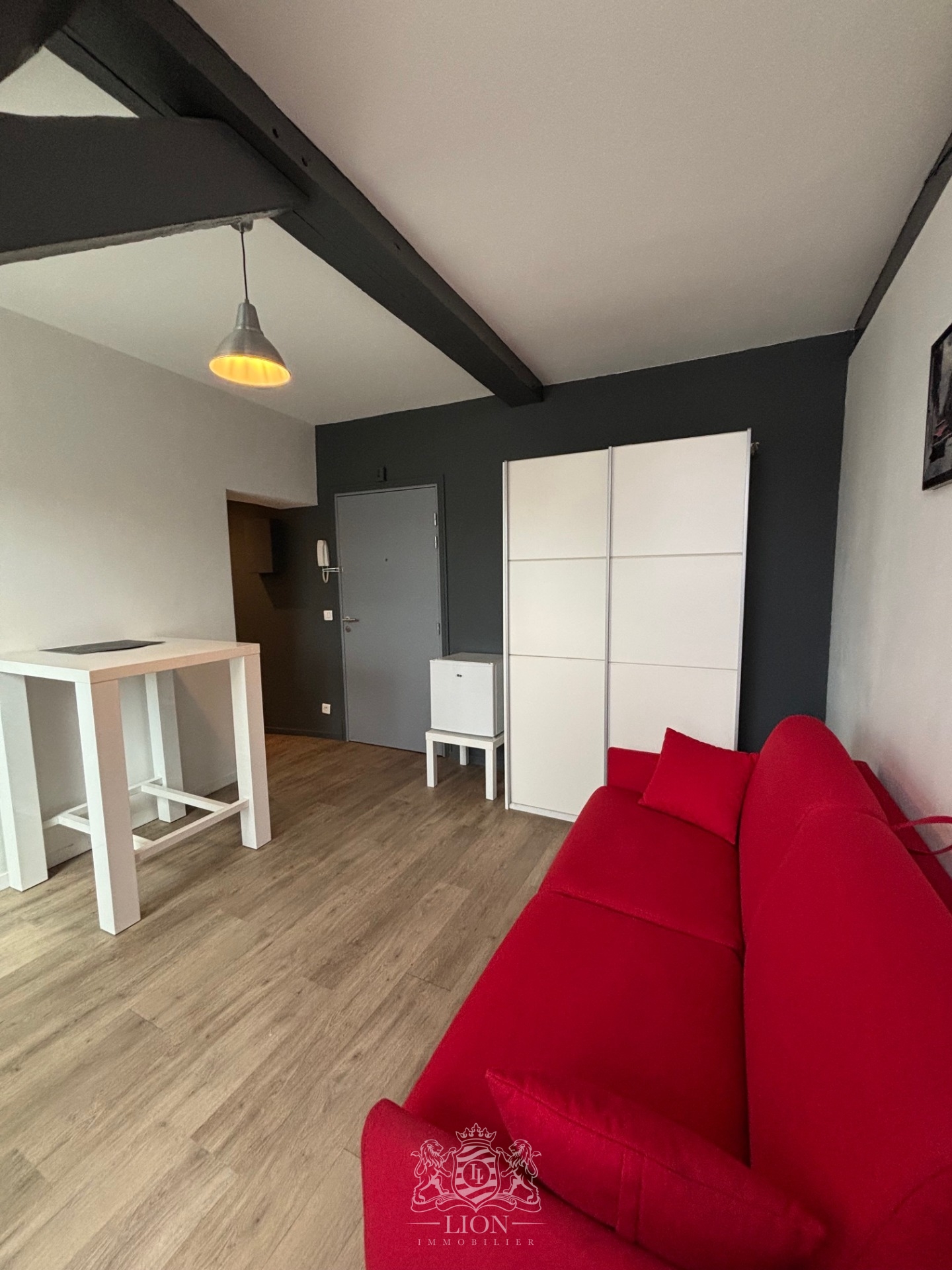 Vieux lille studio meuble Photo 10 - Le Lion Immobilier Vieux lille studio meuble Photo 10 - Le Lion Immobilier