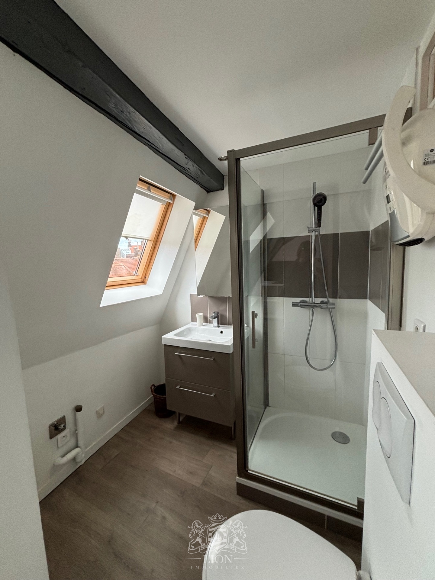 Vieux lille studio meuble Photo 12 - Le Lion Immobilier Vieux lille studio meuble Photo 12 - Le Lion Immobilier