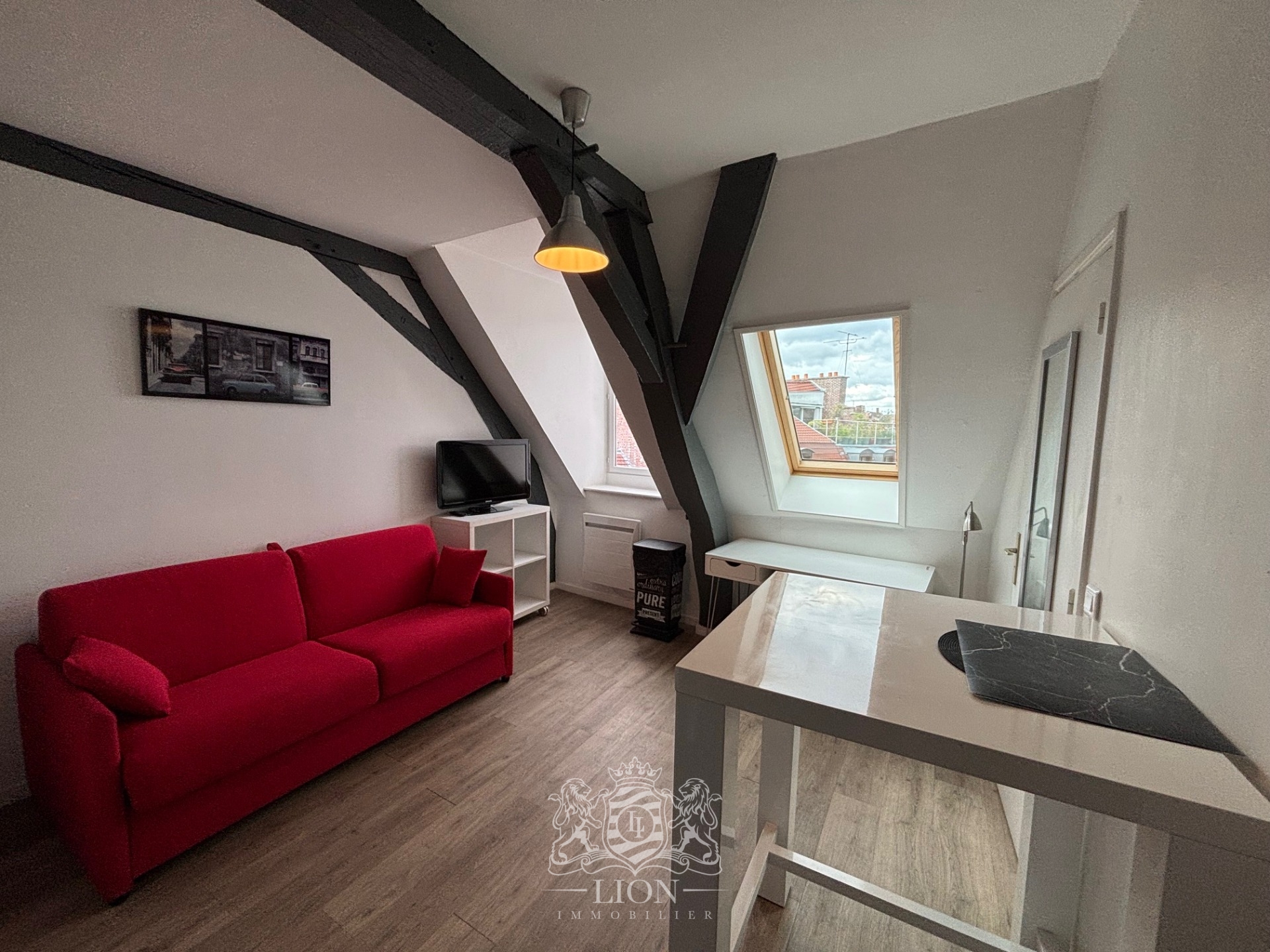 Vieux lille studio meuble Photo 13 - Le Lion Immobilier Vieux lille studio meuble Photo 13 - Le Lion Immobilier