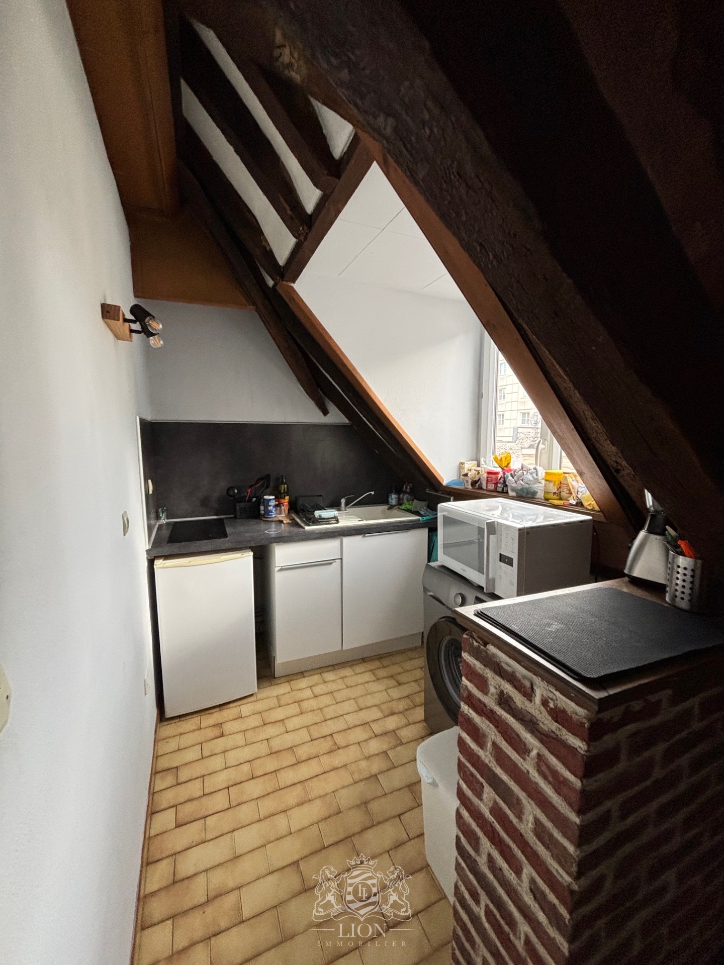 Nouveau siecle studio mezzanine Photo 4 - Le Lion Immobilier Nouveau siecle studio mezzanine Photo 4 - Le Lion Immobilier