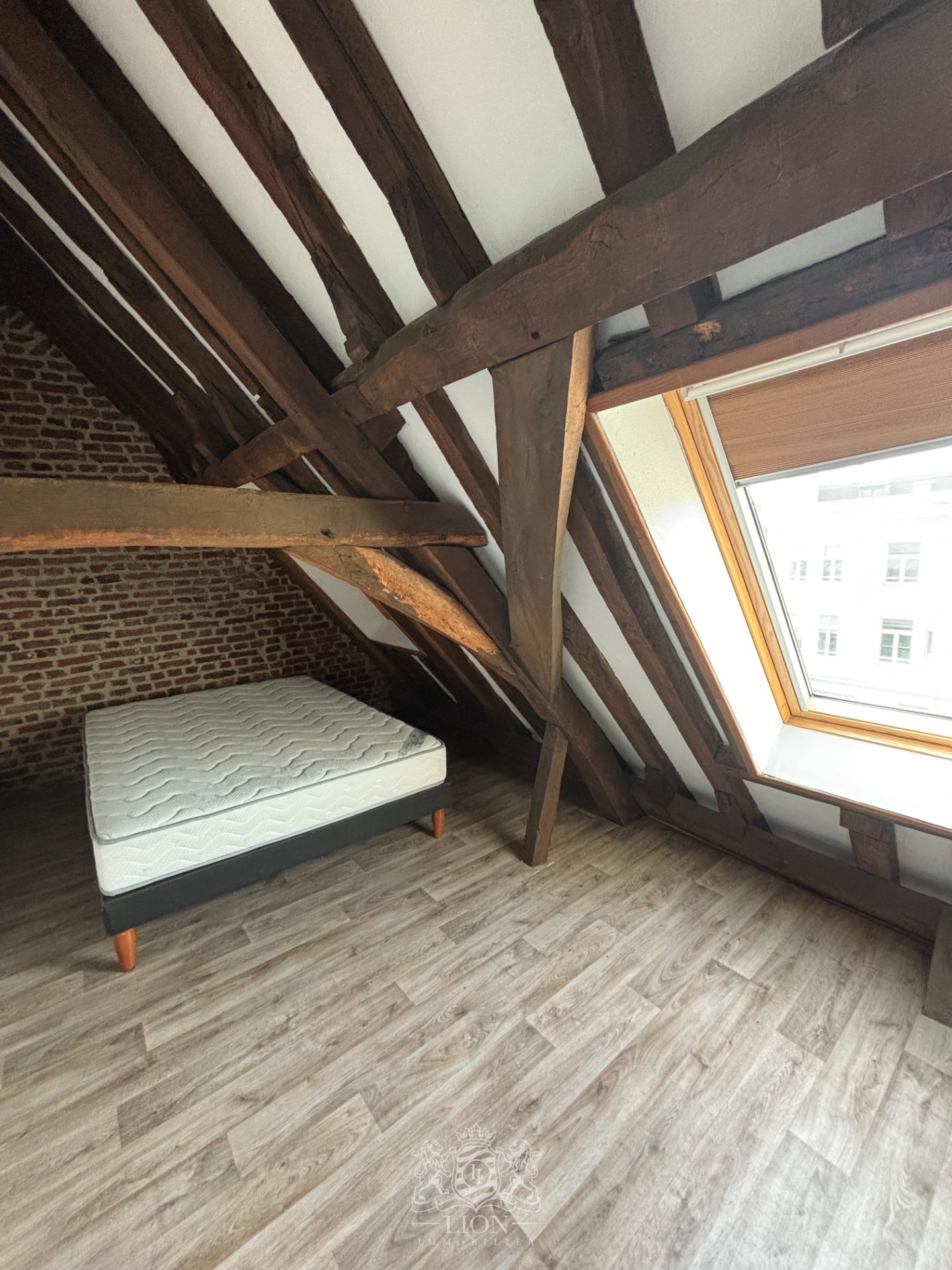 Hyper centre deux pas du vieux lille studio mezzanine Photo 13 - Le Lion Immobilier Hyper centre deux pas du vieux lille studio mezzanine Photo 13 - Le Lion Immobilier