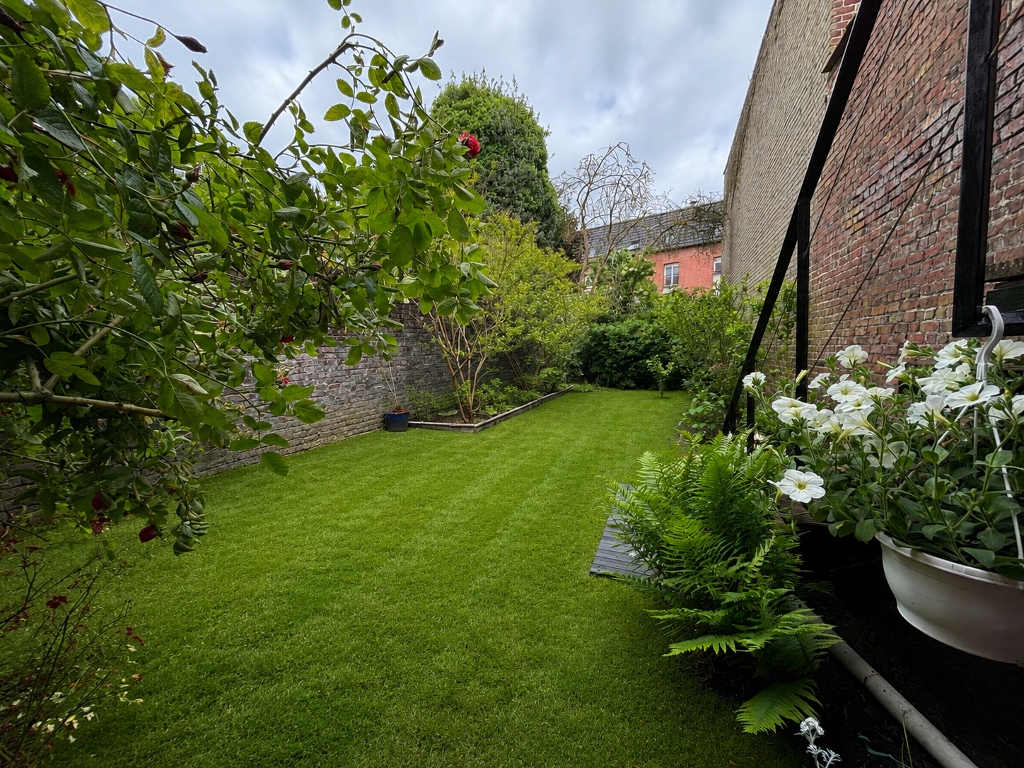 Elegante demeure familiale avec jardin et cachet Photo 12 - Le Lion Immobilier