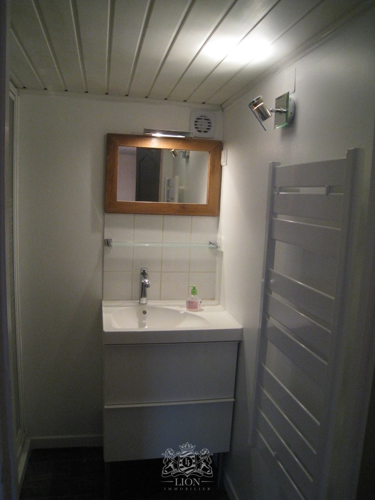 Aumz vieux lille t1 avec mezzanine non meuble Photo 7 - Le Lion Immobilier