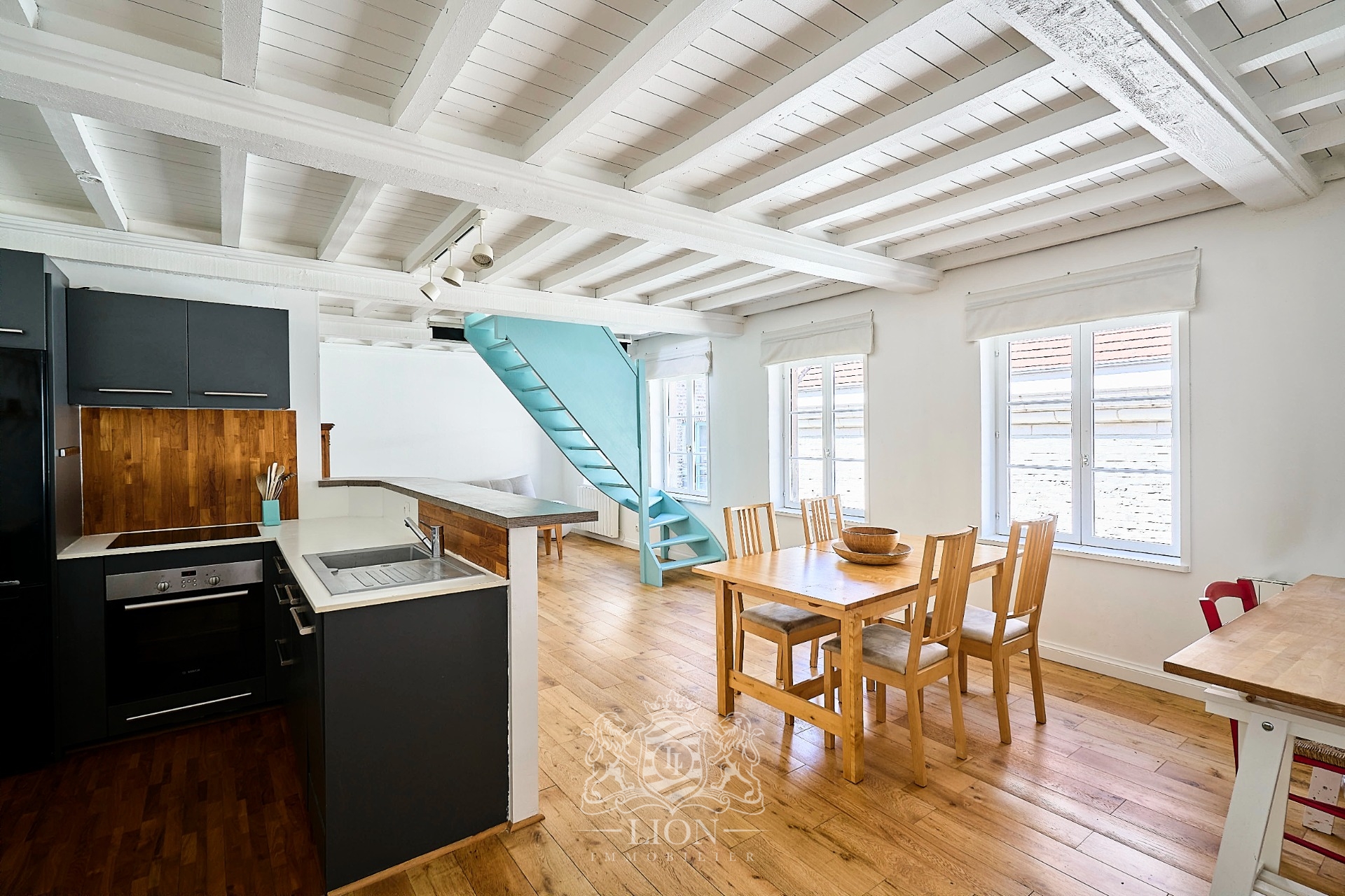 Duplex coup de coeur dernier etage deux chambres Photo 1 - Le Lion Immobilier Duplex coup de coeur dernier etage deux chambres Photo 1 - Le Lion Immobilier